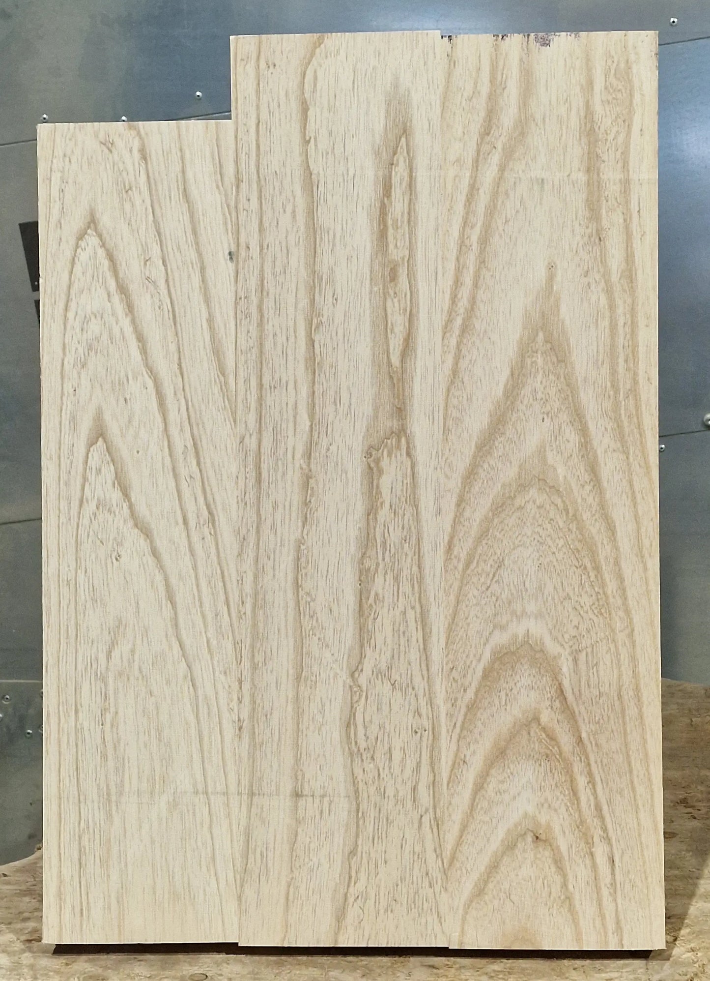 Bodyrohling Sumpfesche 101225-1