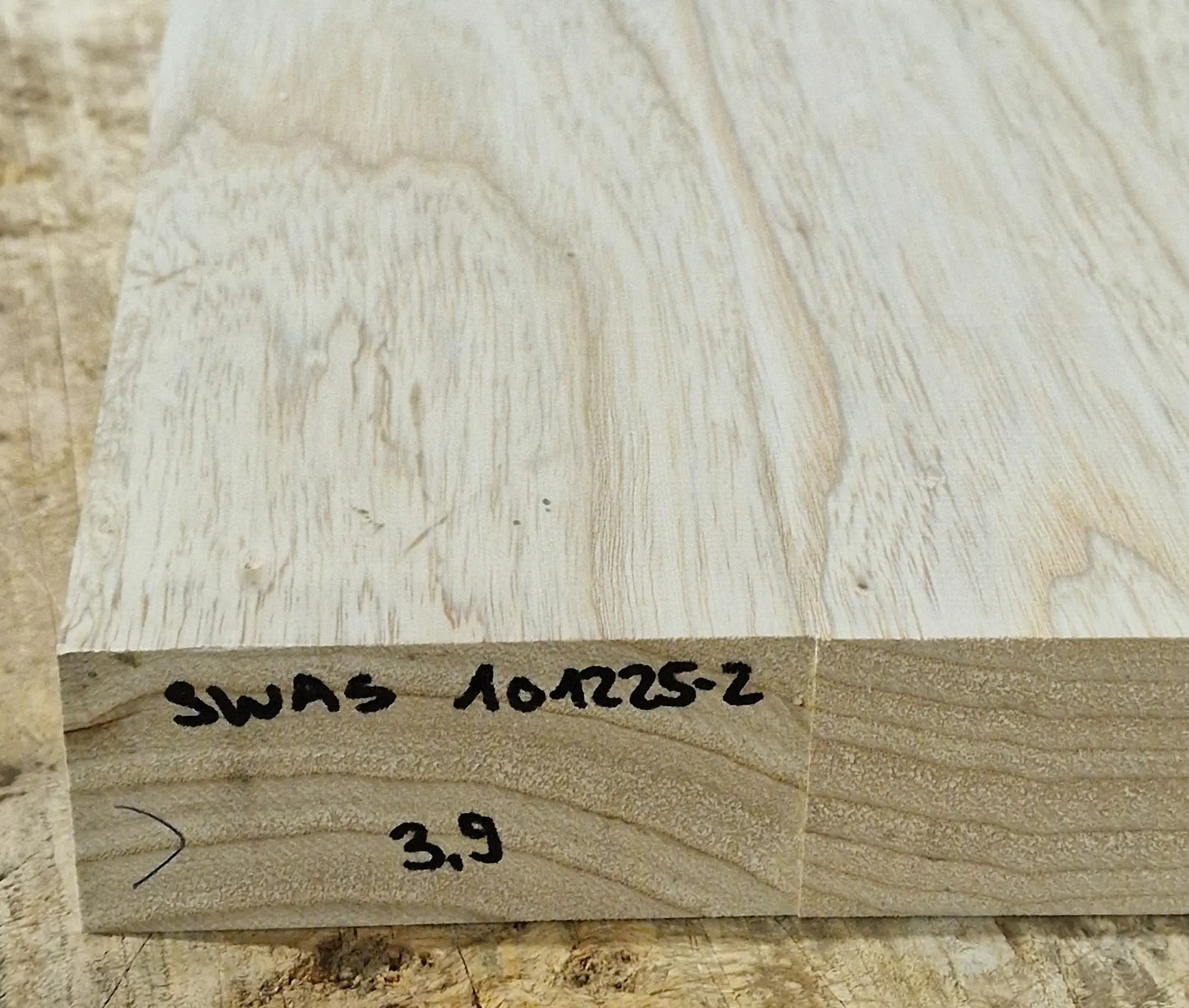 Bodyrohling Sumpfesche 101225-2