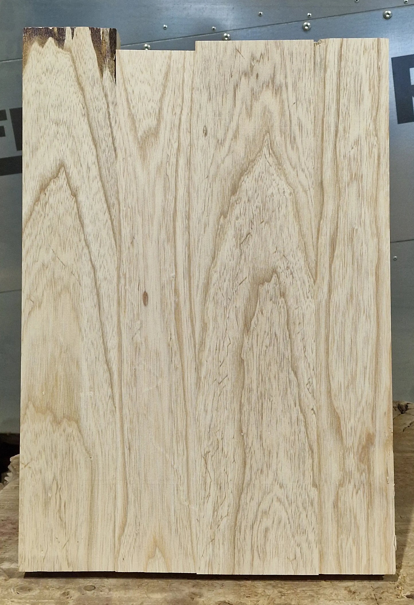 Bodyrohling Sumpfesche 101225-2