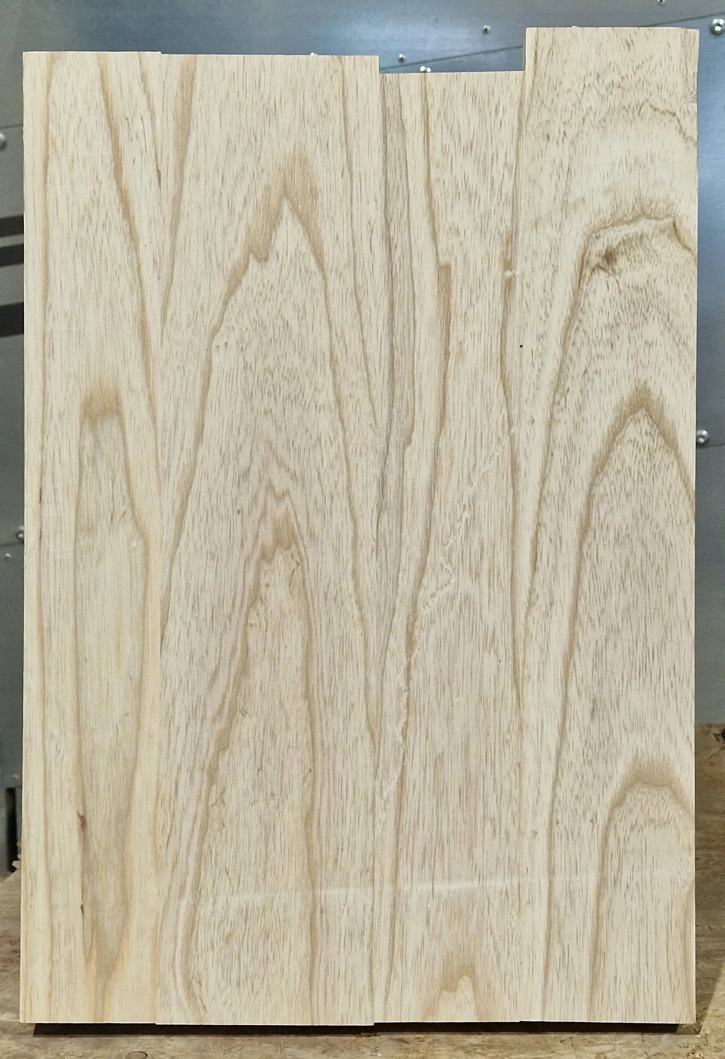 Bodyrohling Sumpfesche 101225-2