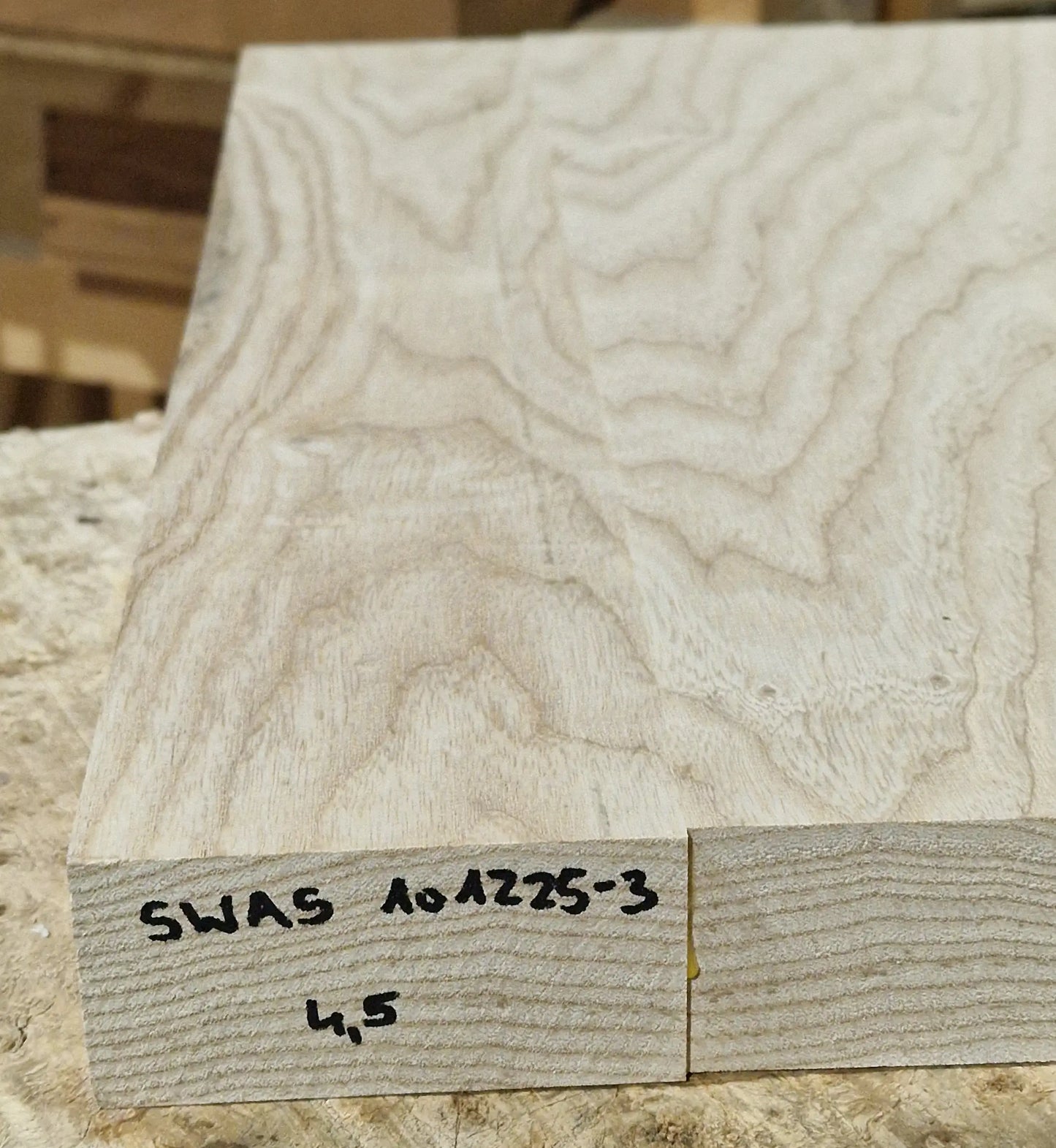 Bodyrohling Sumpfesche 101225-3