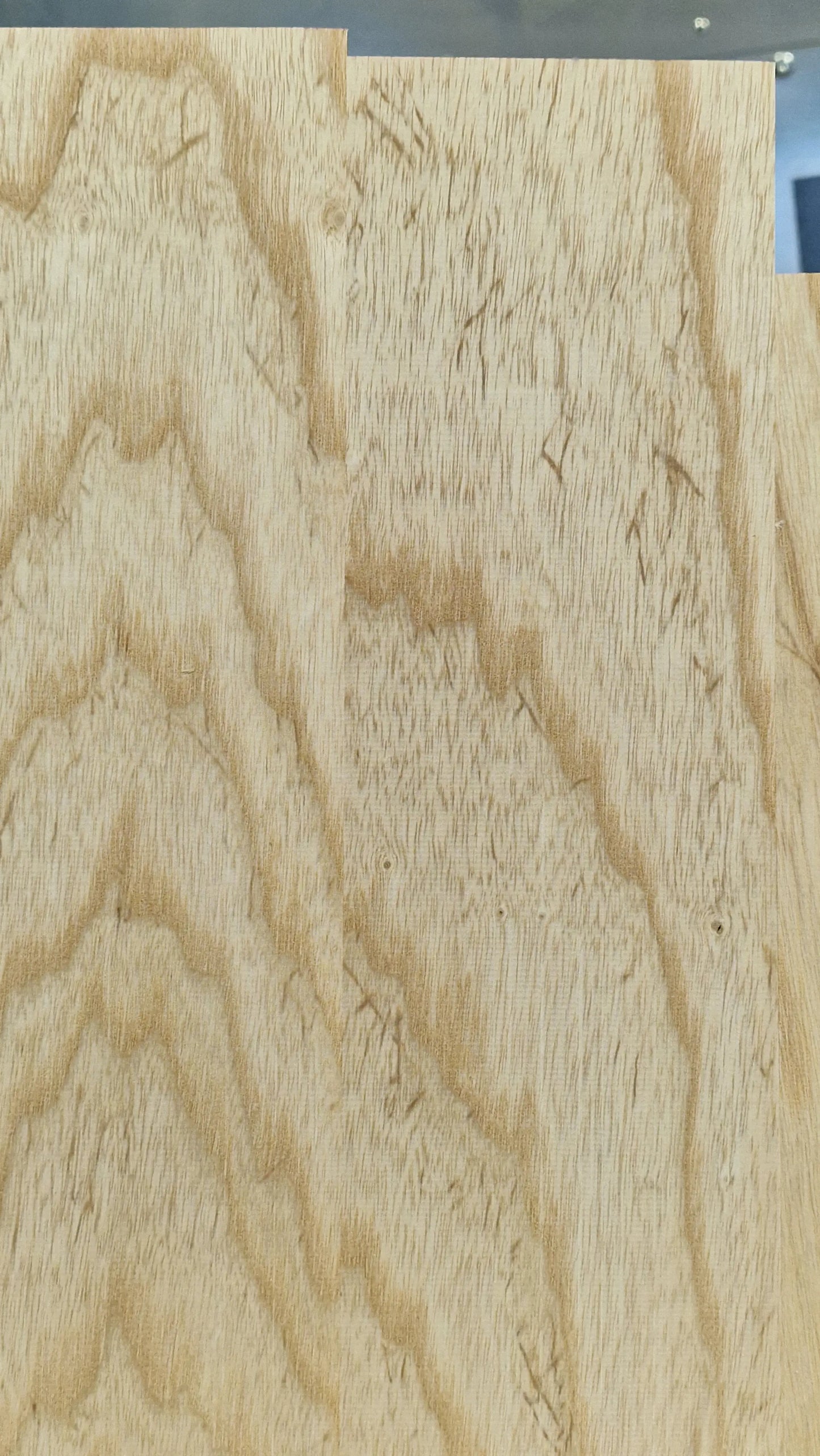 Bodyrohling Sumpfesche 101225-3