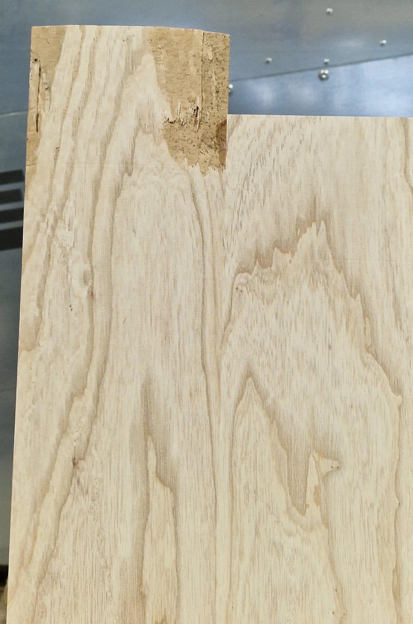 Bodyrohling Sumpfesche 101225-4