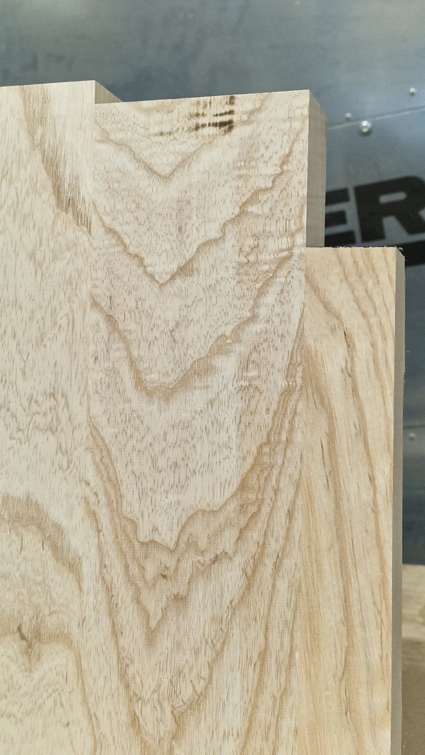 Bodyrohling Sumpfesche 101225-5