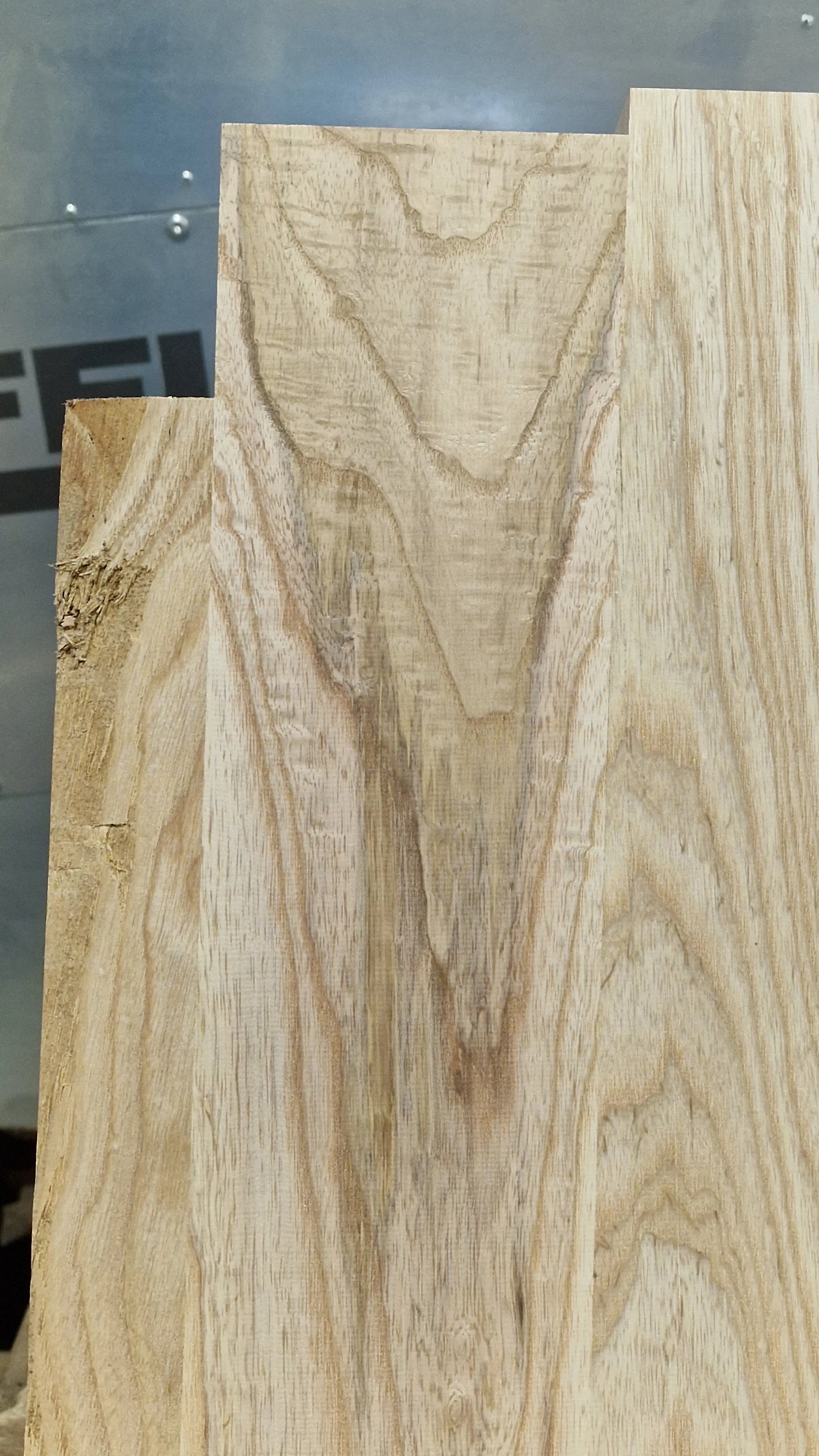 Bodyrohling Sumpfesche 101225-5