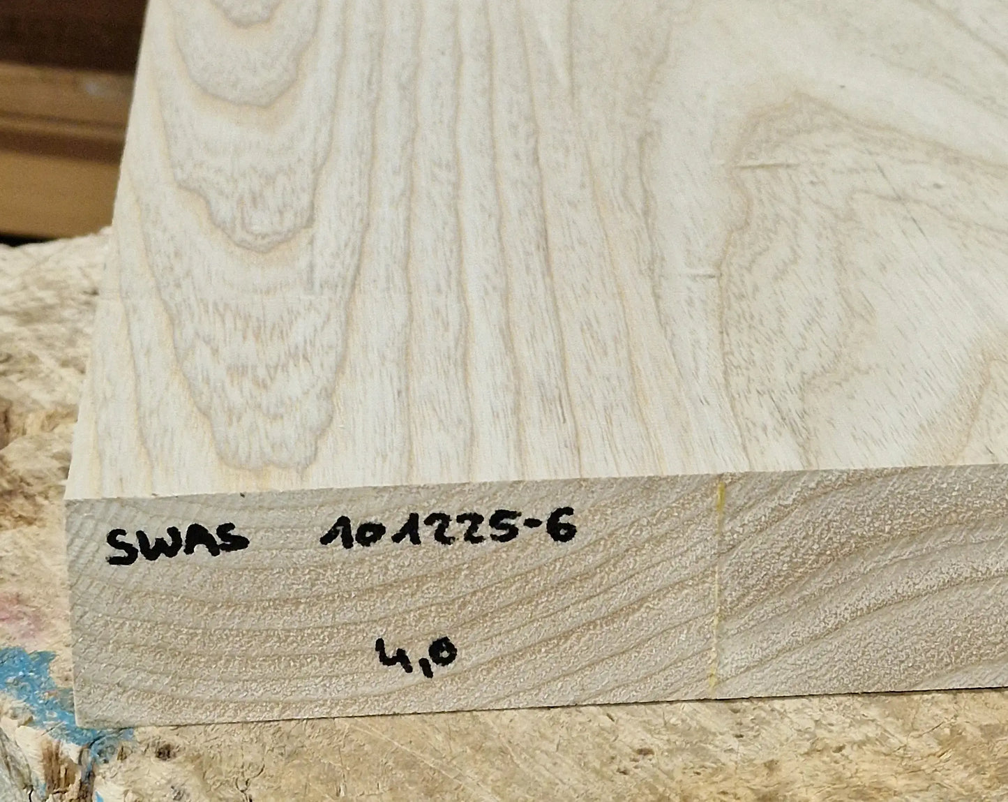 Bodyrohling Sumpfesche 101225-6