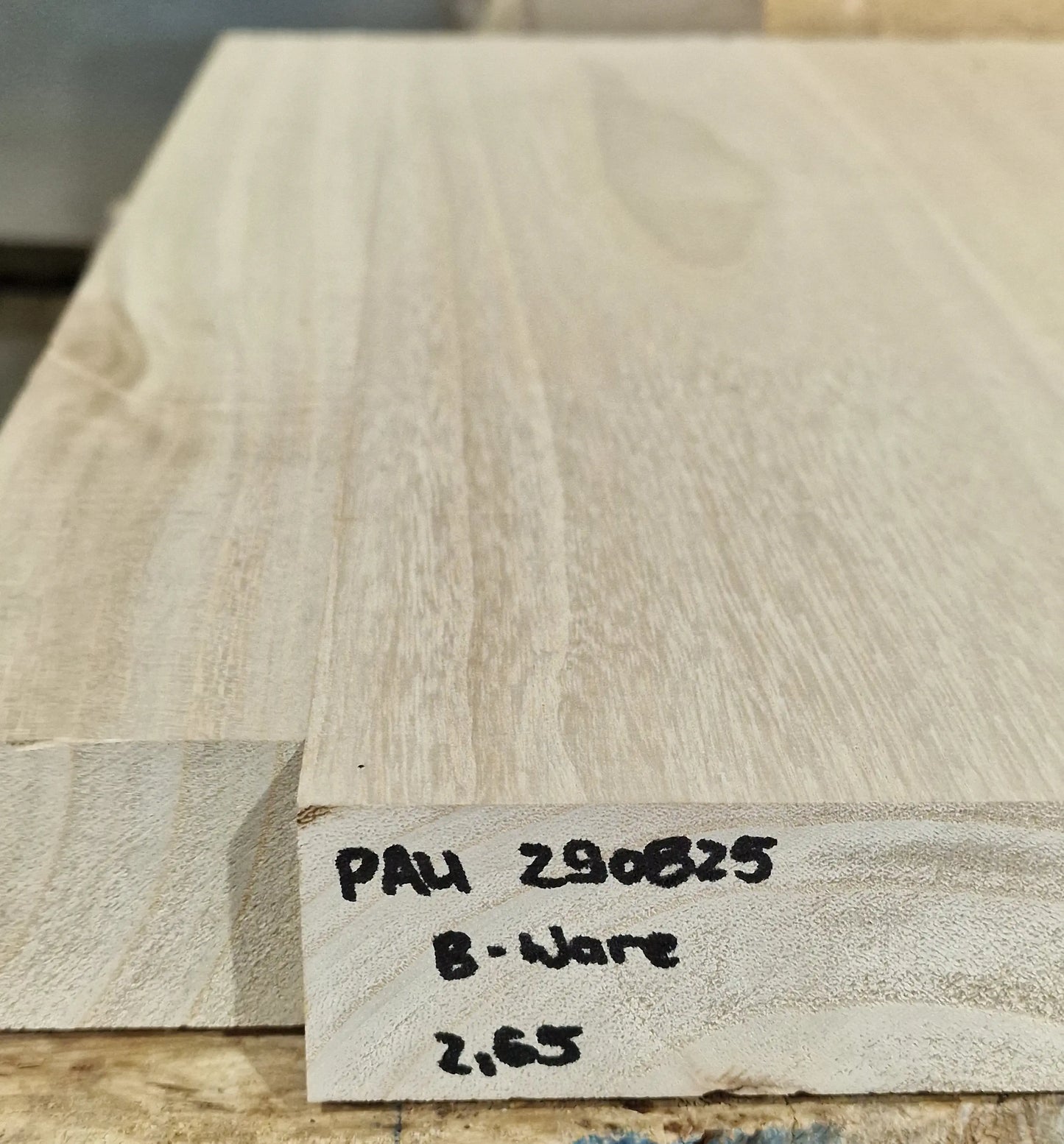 Bodyrohling Paulownia 290825 B-Ware