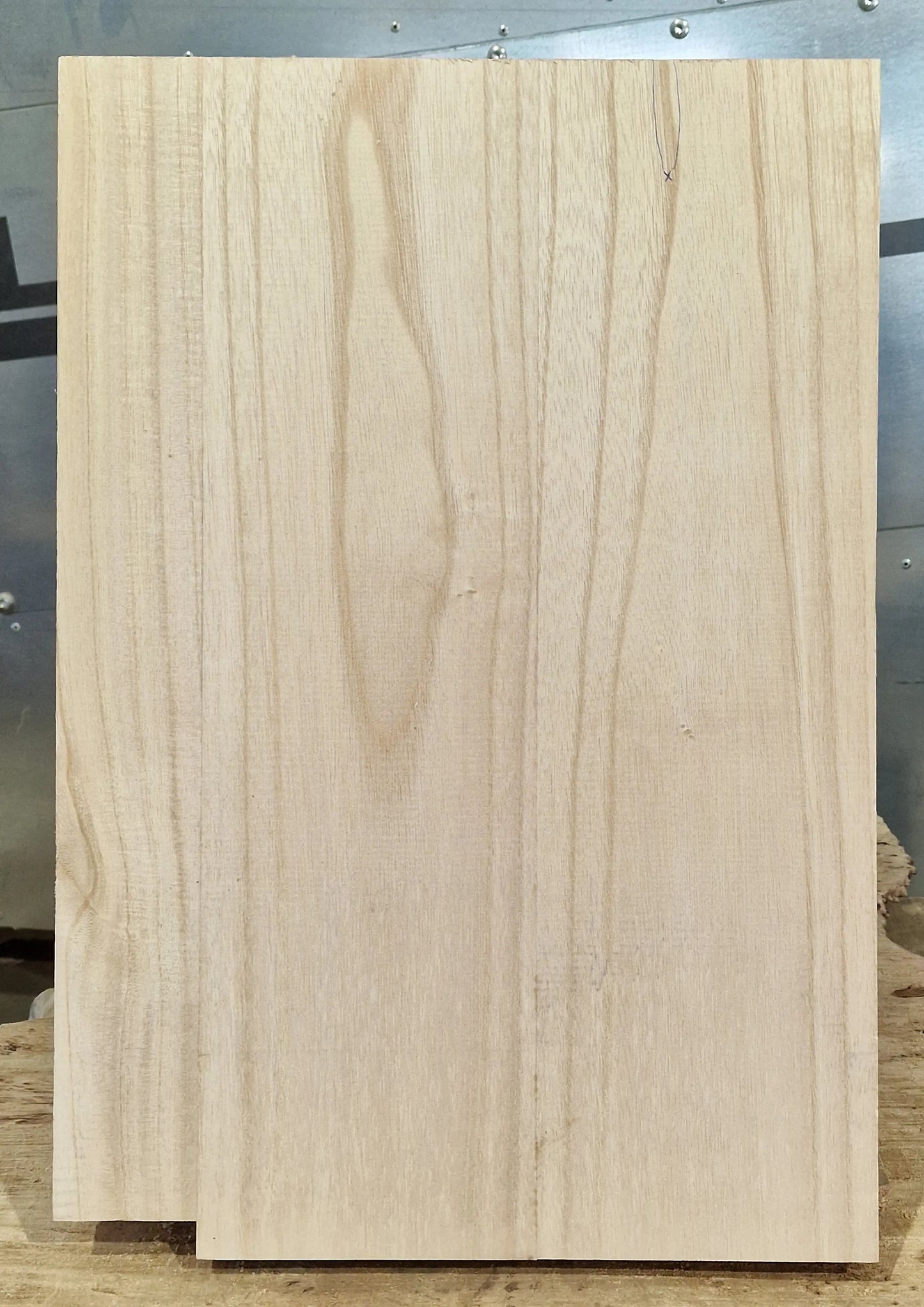 Bodyrohling Paulownia 290825 B-Ware