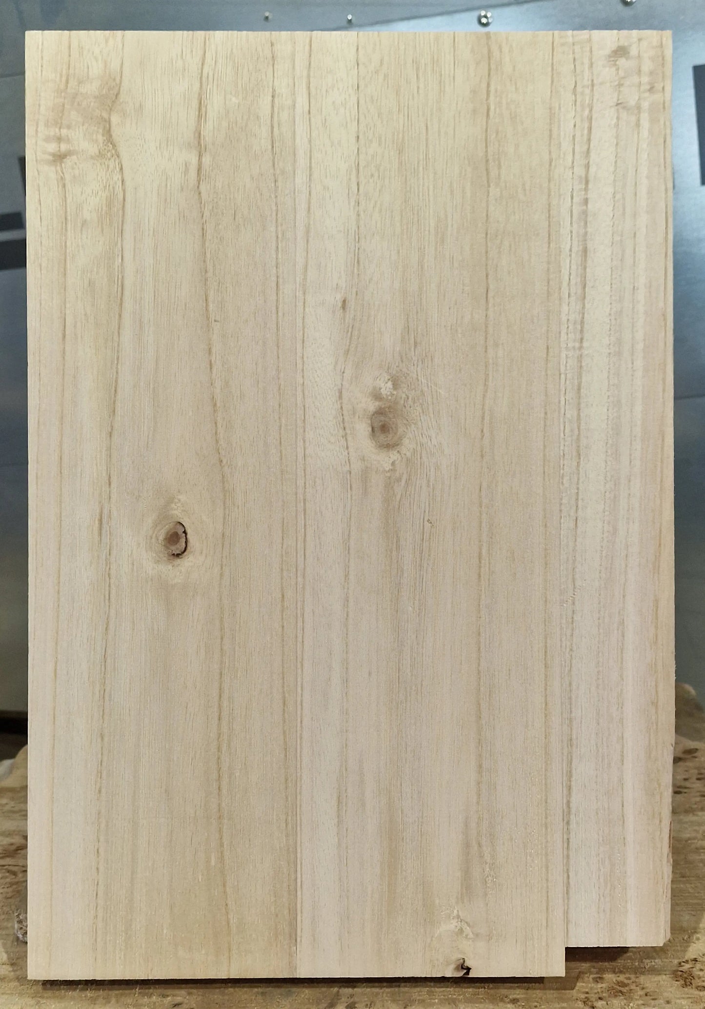 Bodyrohling Paulownia 290825 B-Ware