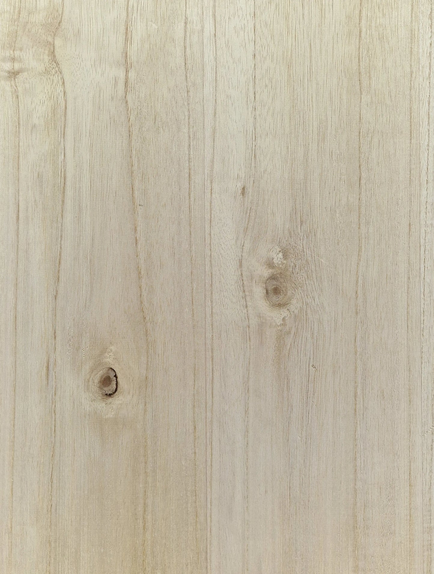 Bodyrohling Paulownia 290825 B-Ware