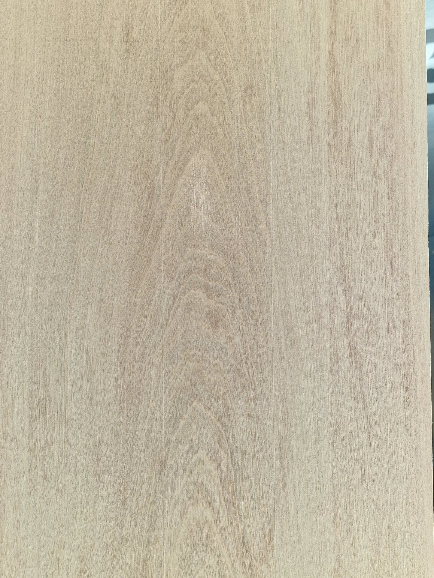 Bodyrohling Abura 290925-2