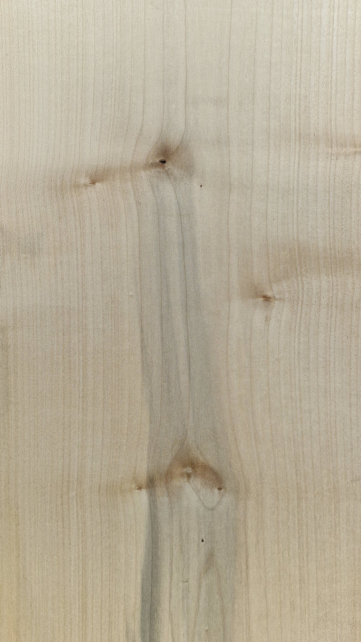 Bodyrohling Ahorn 160326-4