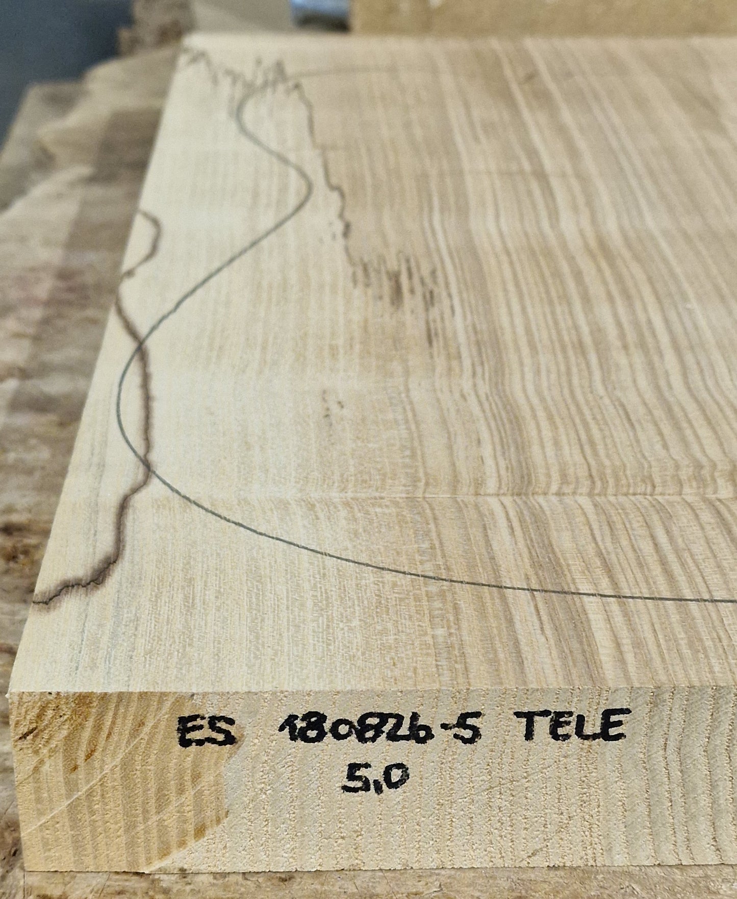 Bodyrohling Esche 180826 Tele