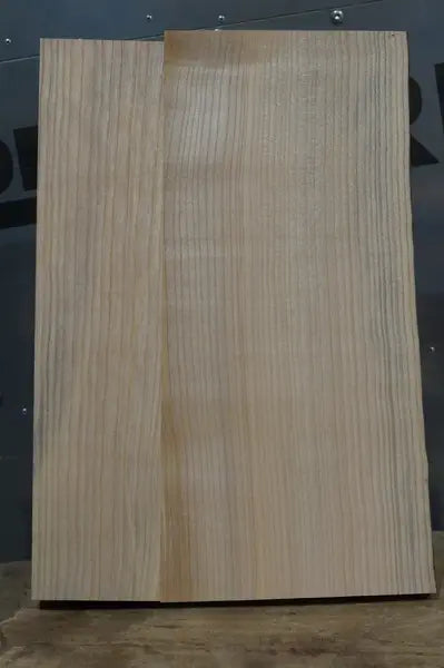 Bodyrohling Esche 020926-2