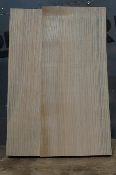 Bodyrohling Esche 020926-2