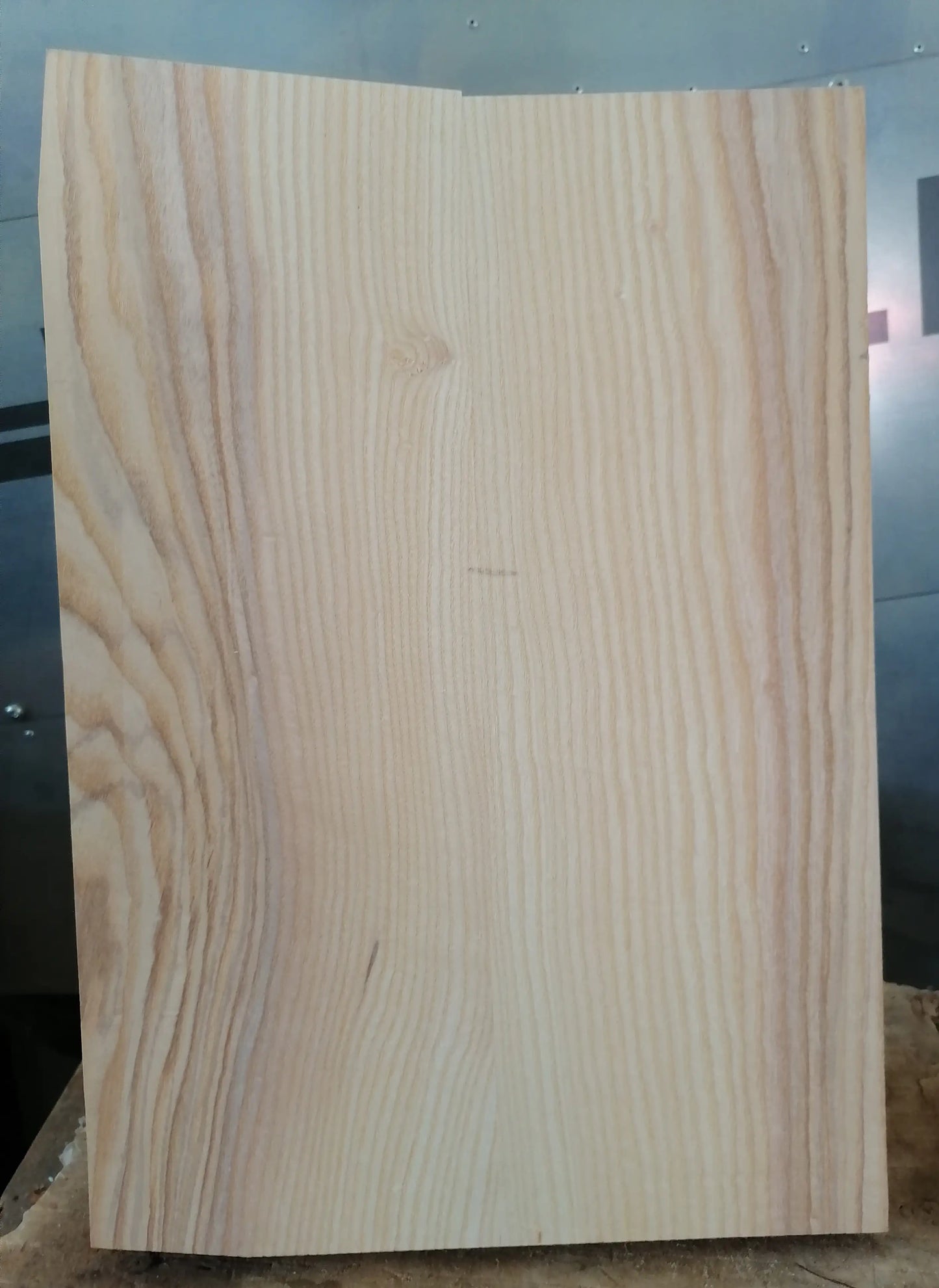 Bodyrohling Esche 060726-1