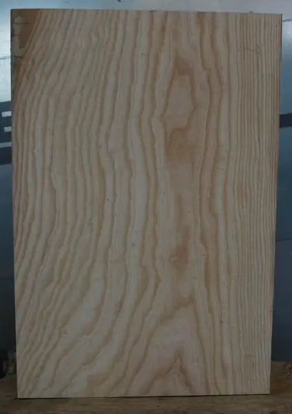Bodyrohling Esche 080926-2