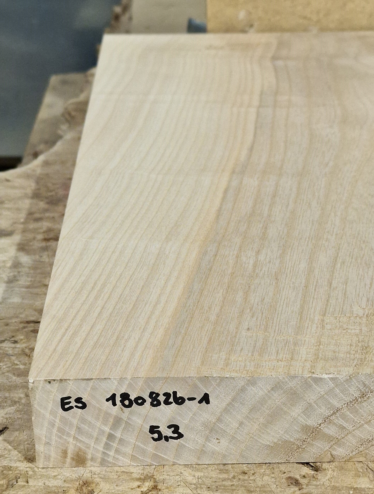 Bodyrohling Esche 180826-1