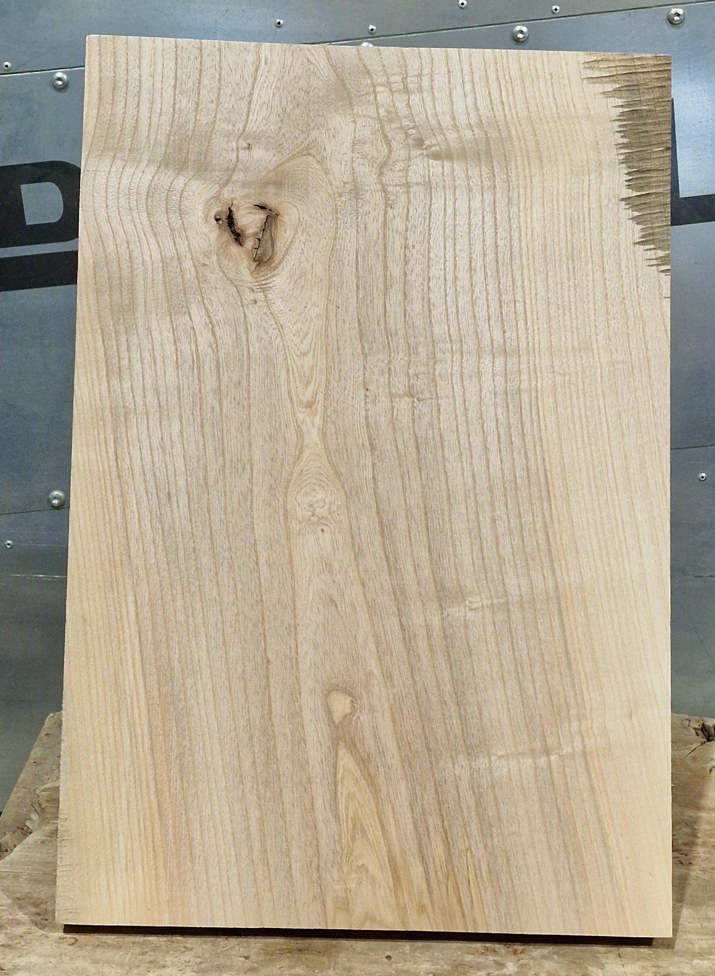 Bodyrohling Esche 180826-1
