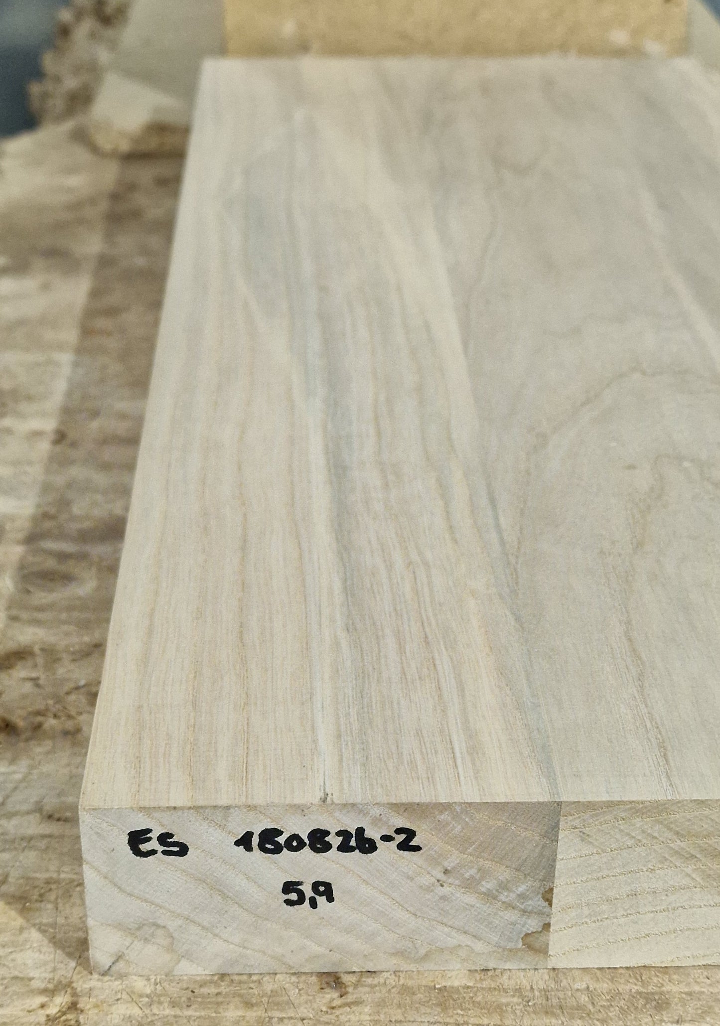 Bodyrohling Esche 180826-2