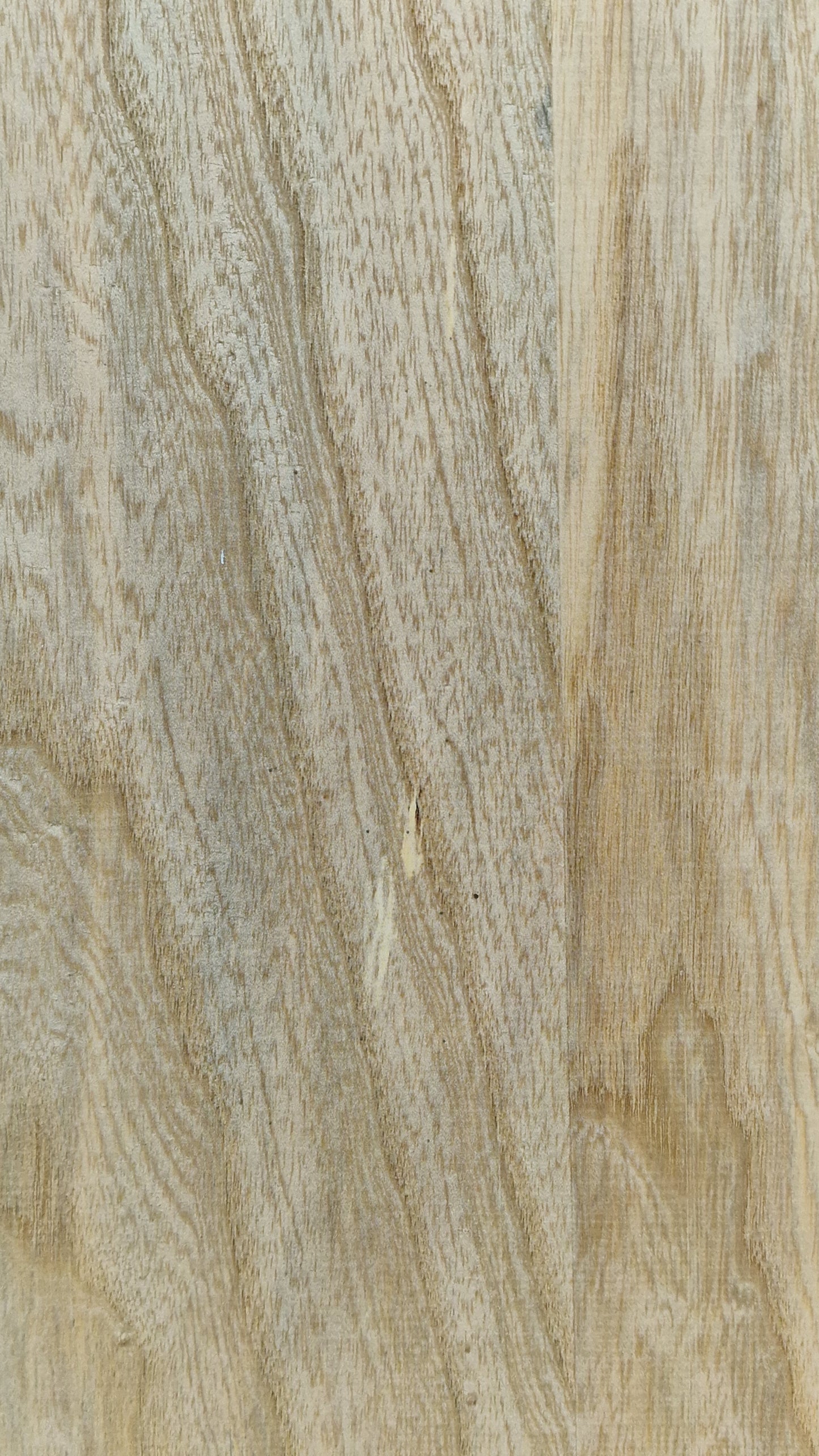 Bodyrohling Esche 180826-2