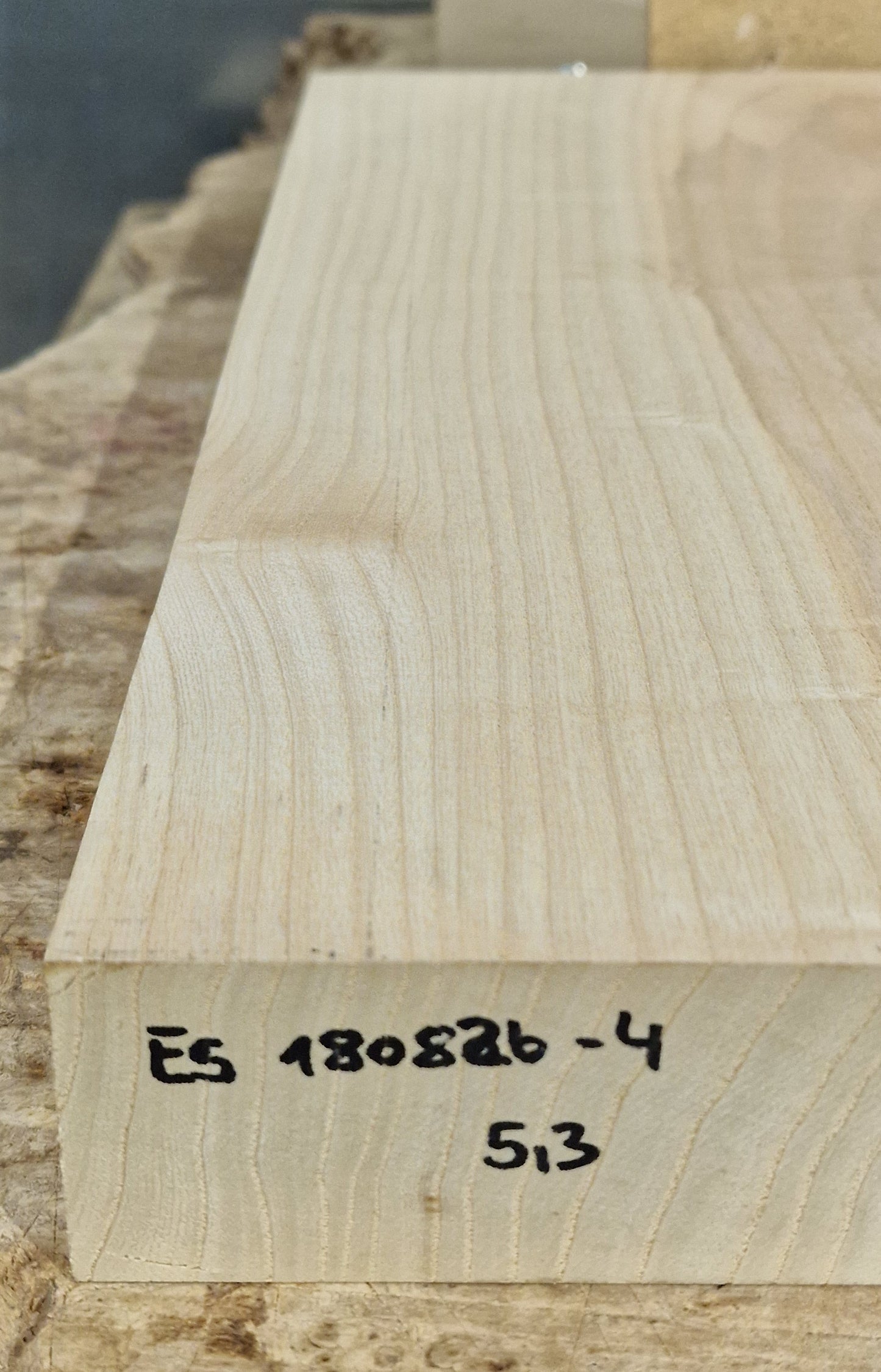 Bodyrohling Esche 180826-4