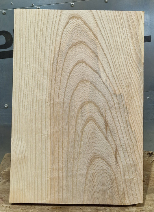 Bodyrohling Esche 180826-4
