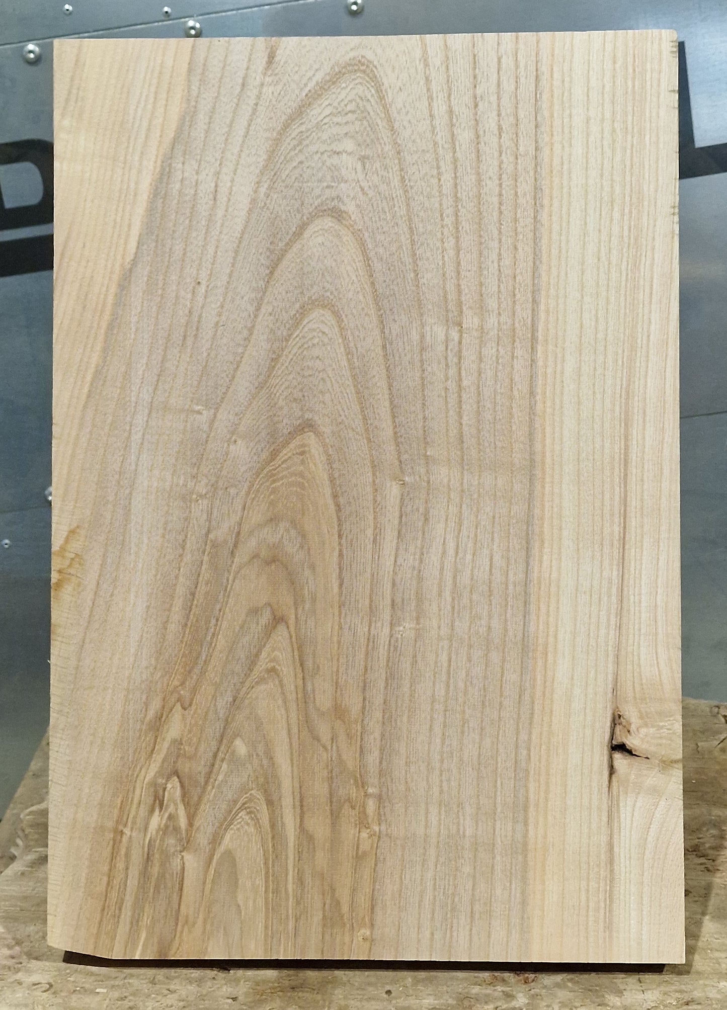 Bodyrohling Esche 180826-4