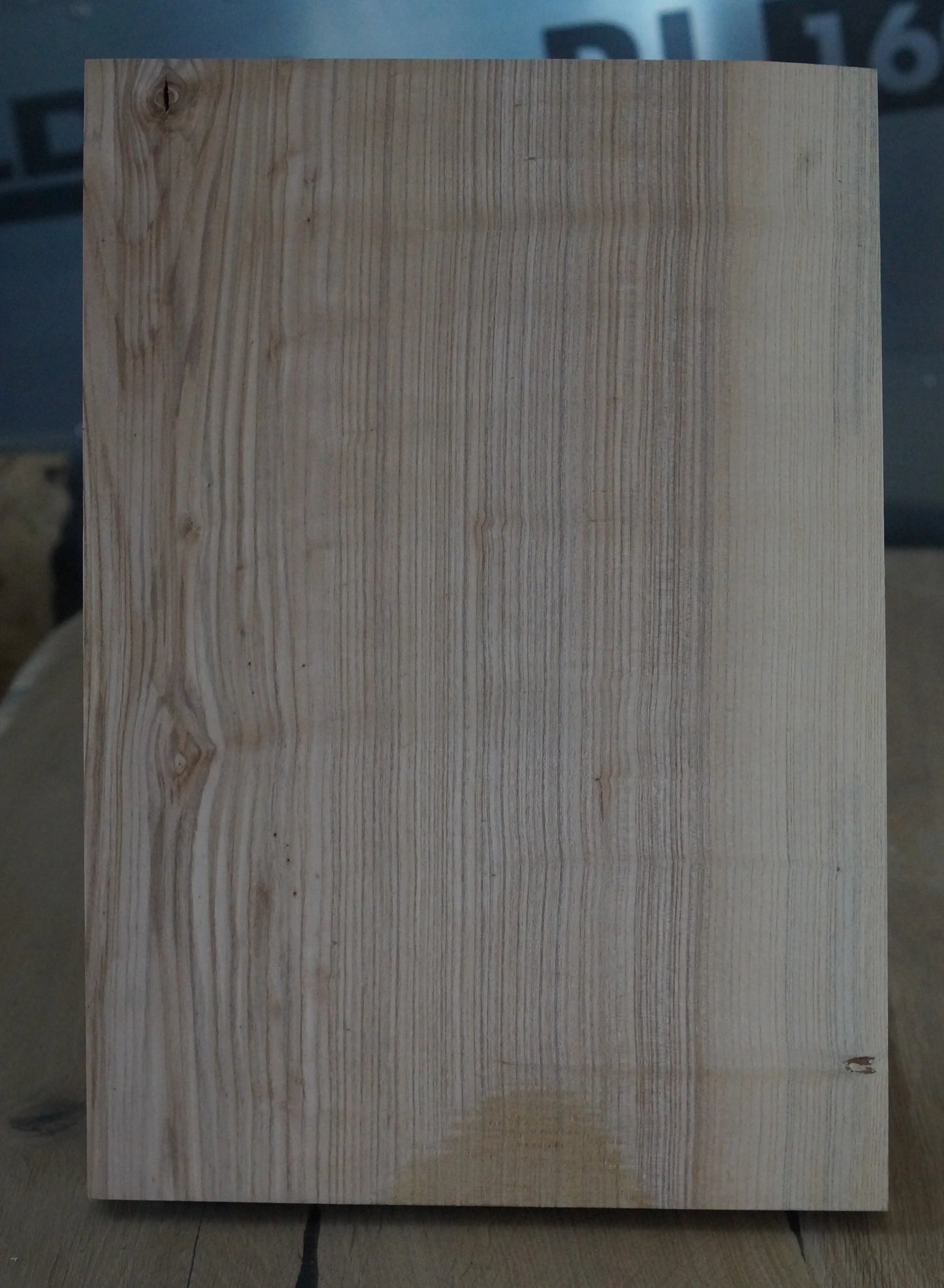 Bodyrohling Esche 210725