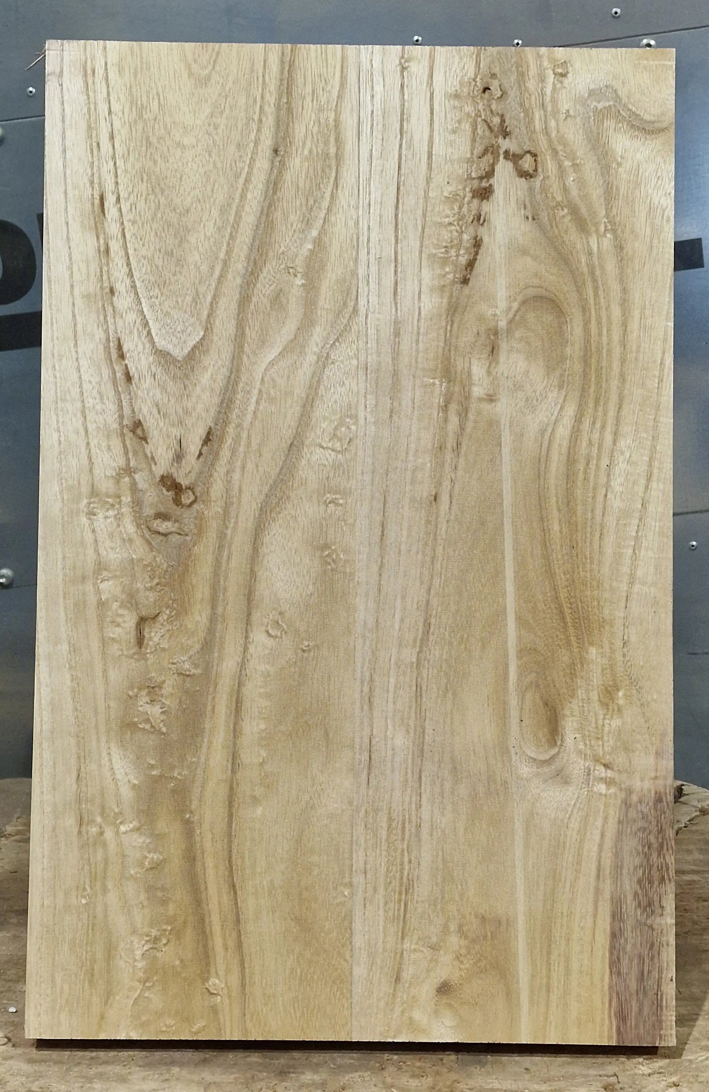 Bodyrohling Paulownia 130426-1