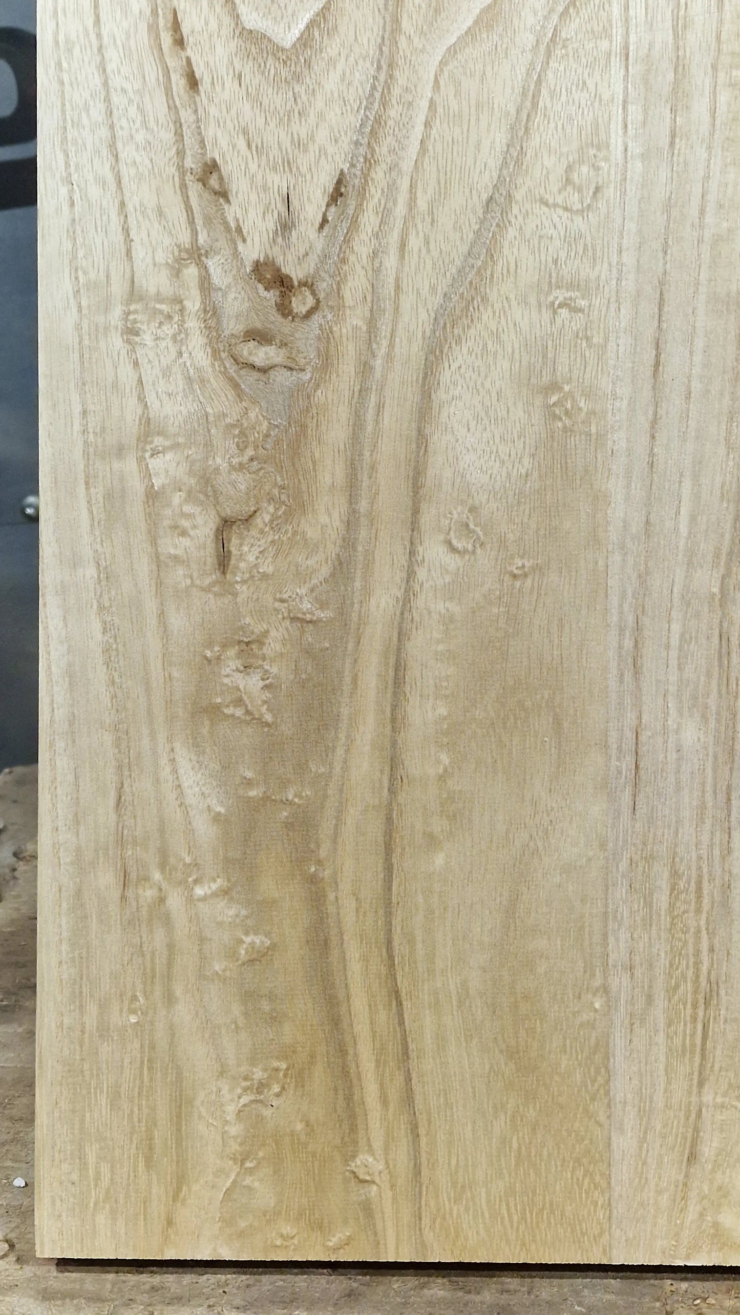 Bodyrohling Paulownia 130426-1