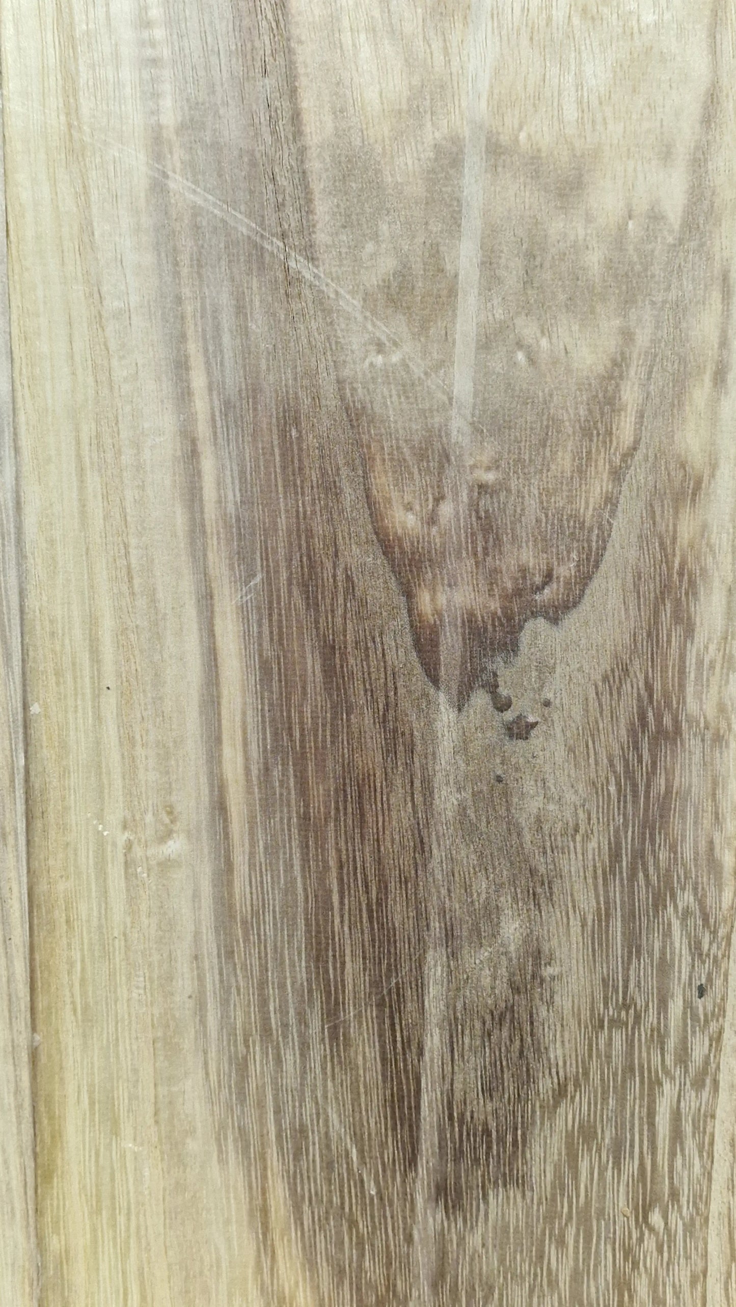 Bodyrohling Paulownia 130426-1