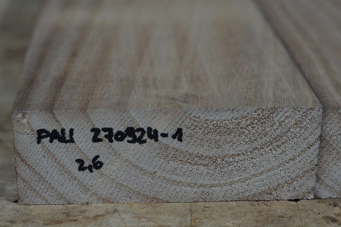Bodyrohling Paulownia 270924-1