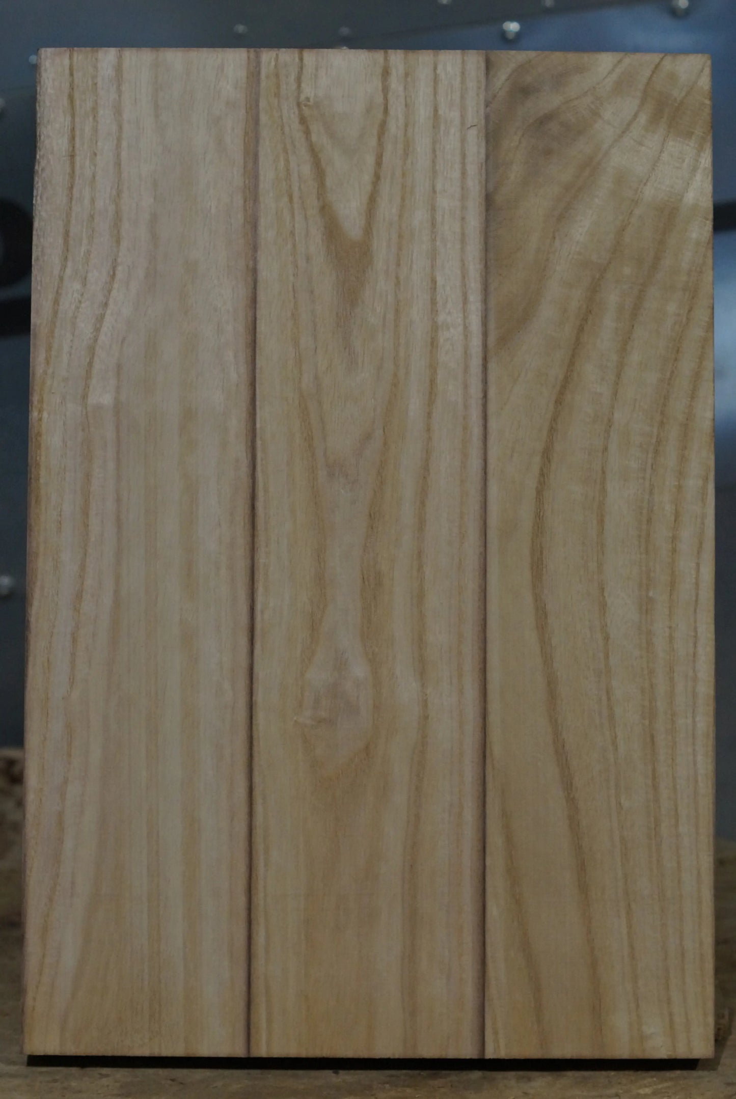 Bodyrohling Paulownia 270924-1