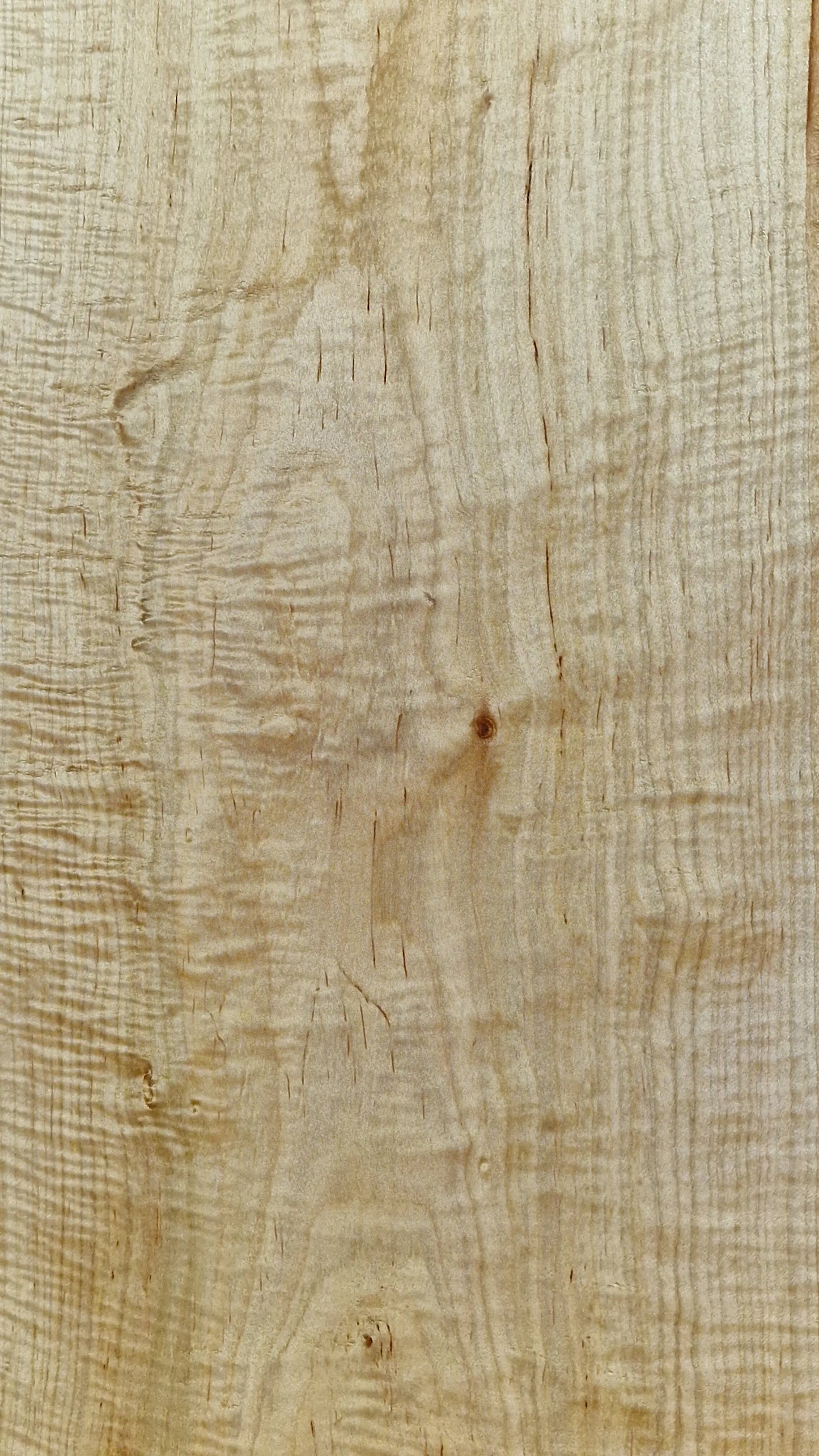 Bodyrohling Riegelahorn 040526