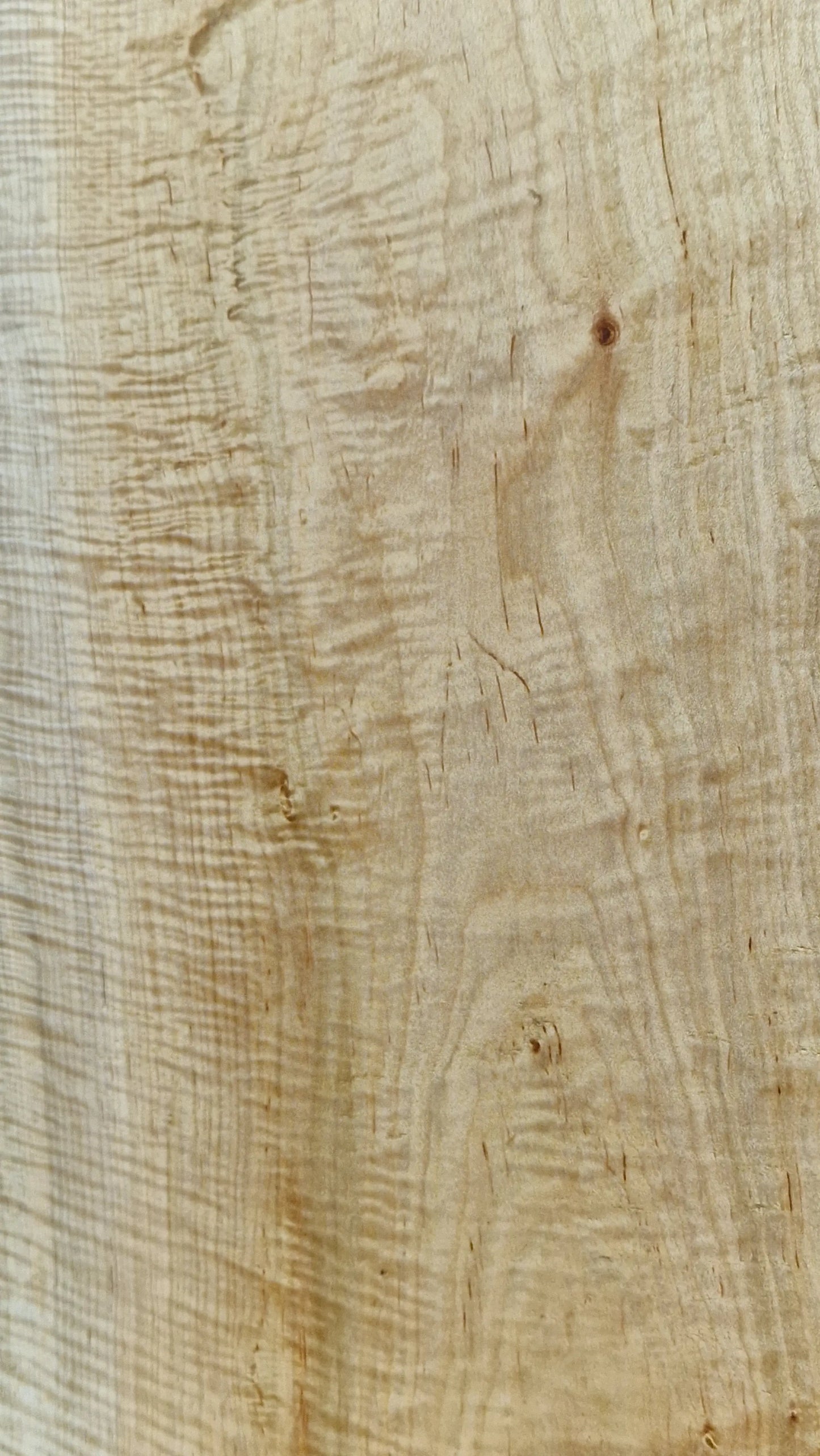 Bodyrohling Riegelahorn 040526