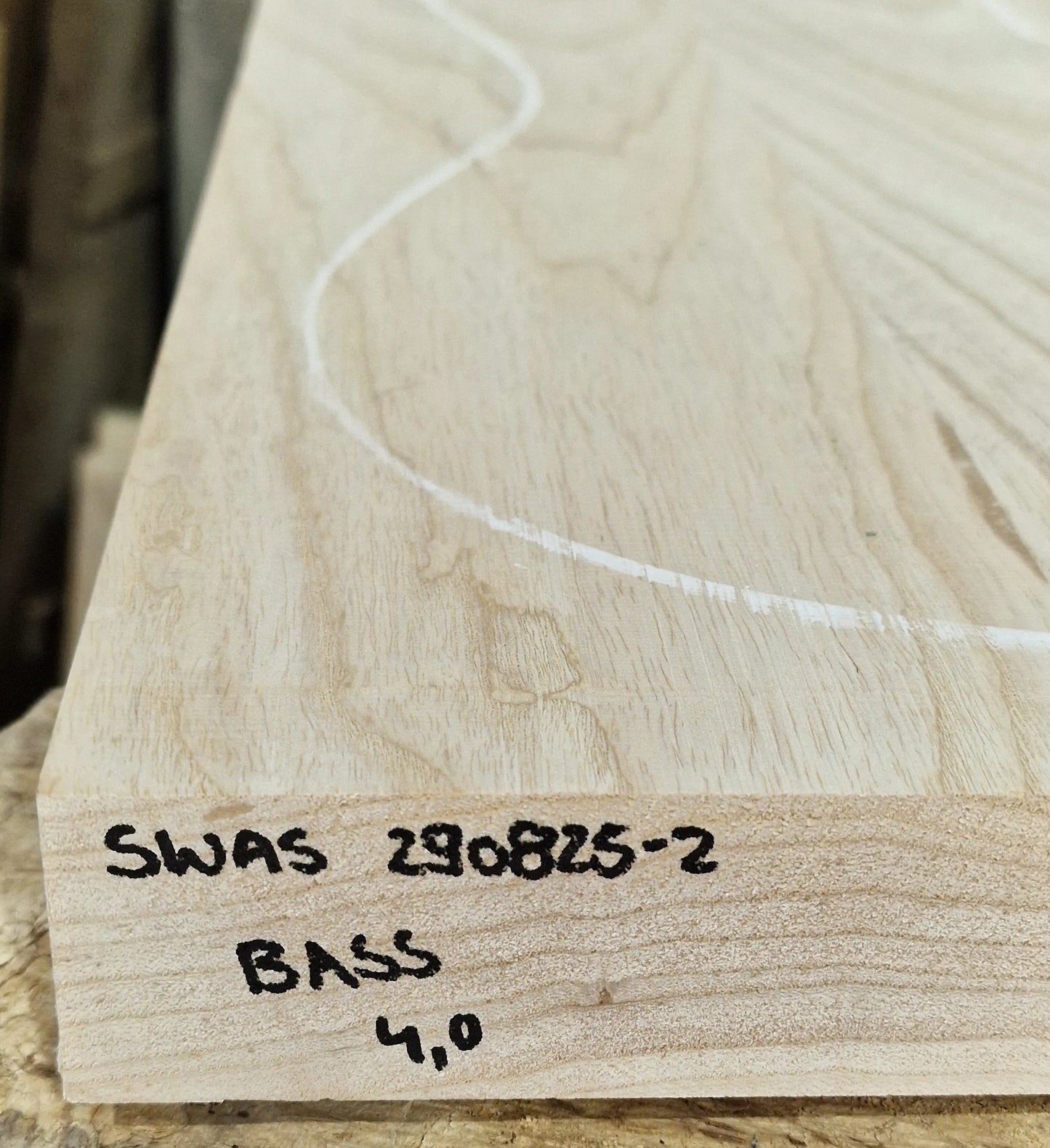 Bodyrohling Sumpfesche 290825-2 Bass