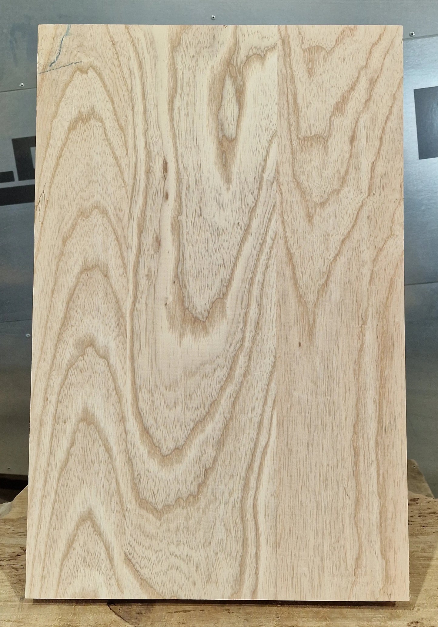 Bodyrohling Sumpfesche 290825-2 Bass