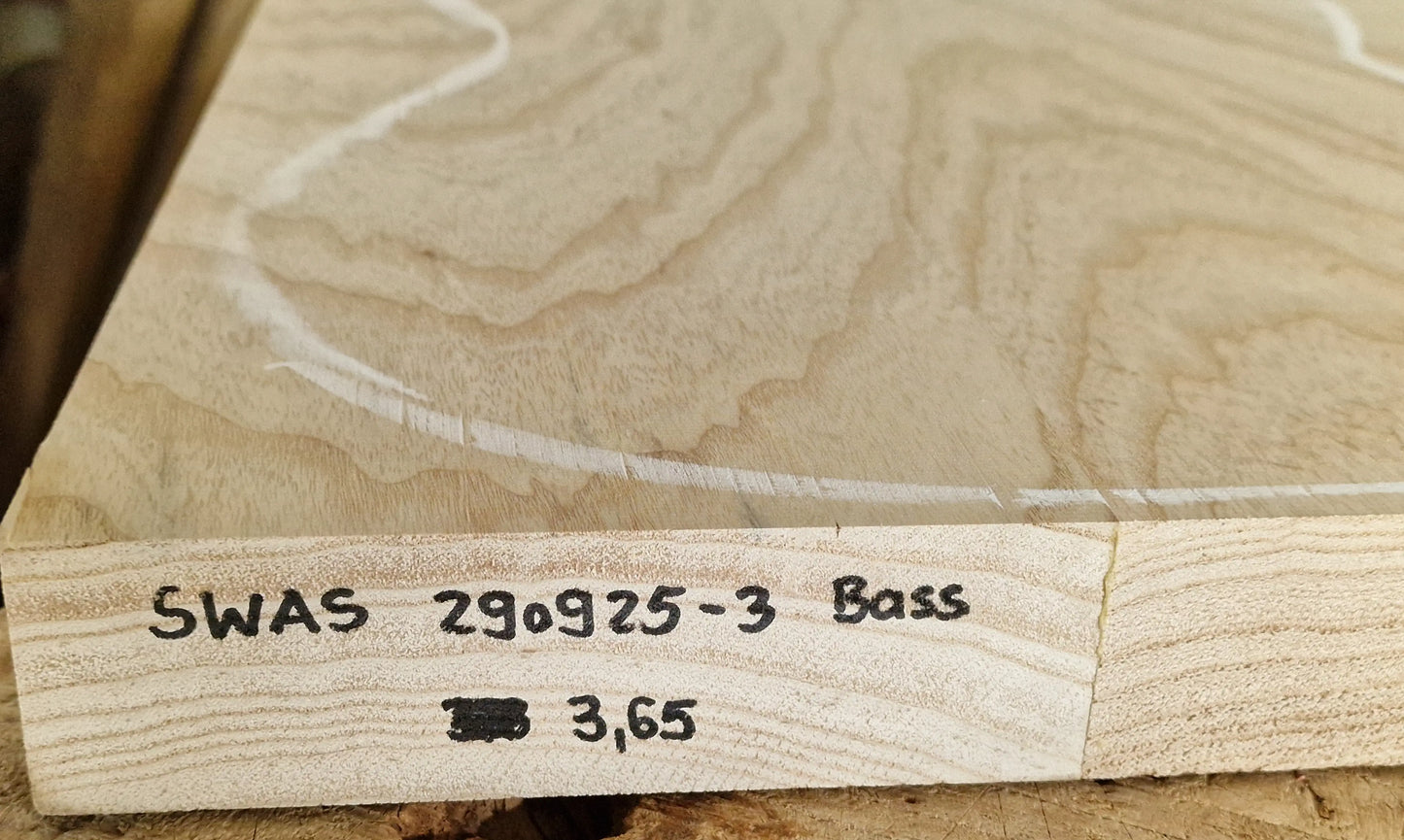 Bodyrohling Sumpfesche 290925-3 Bass