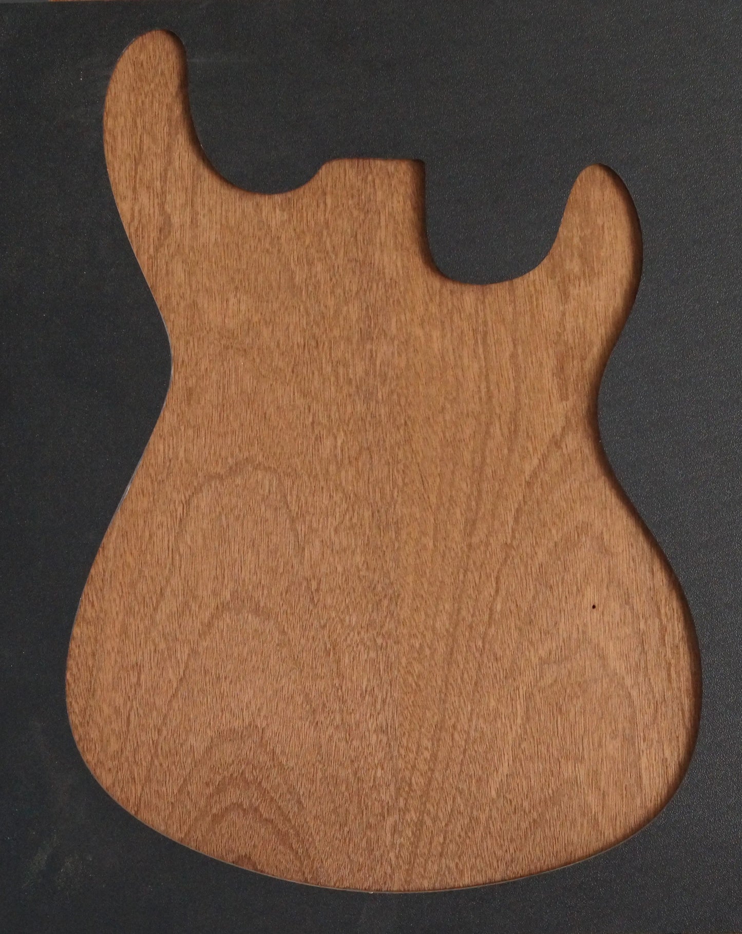 Bodyrohling Swietenia 081124-2