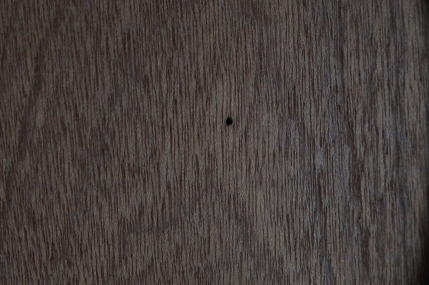Bodyrohling Swietenia 081124-2