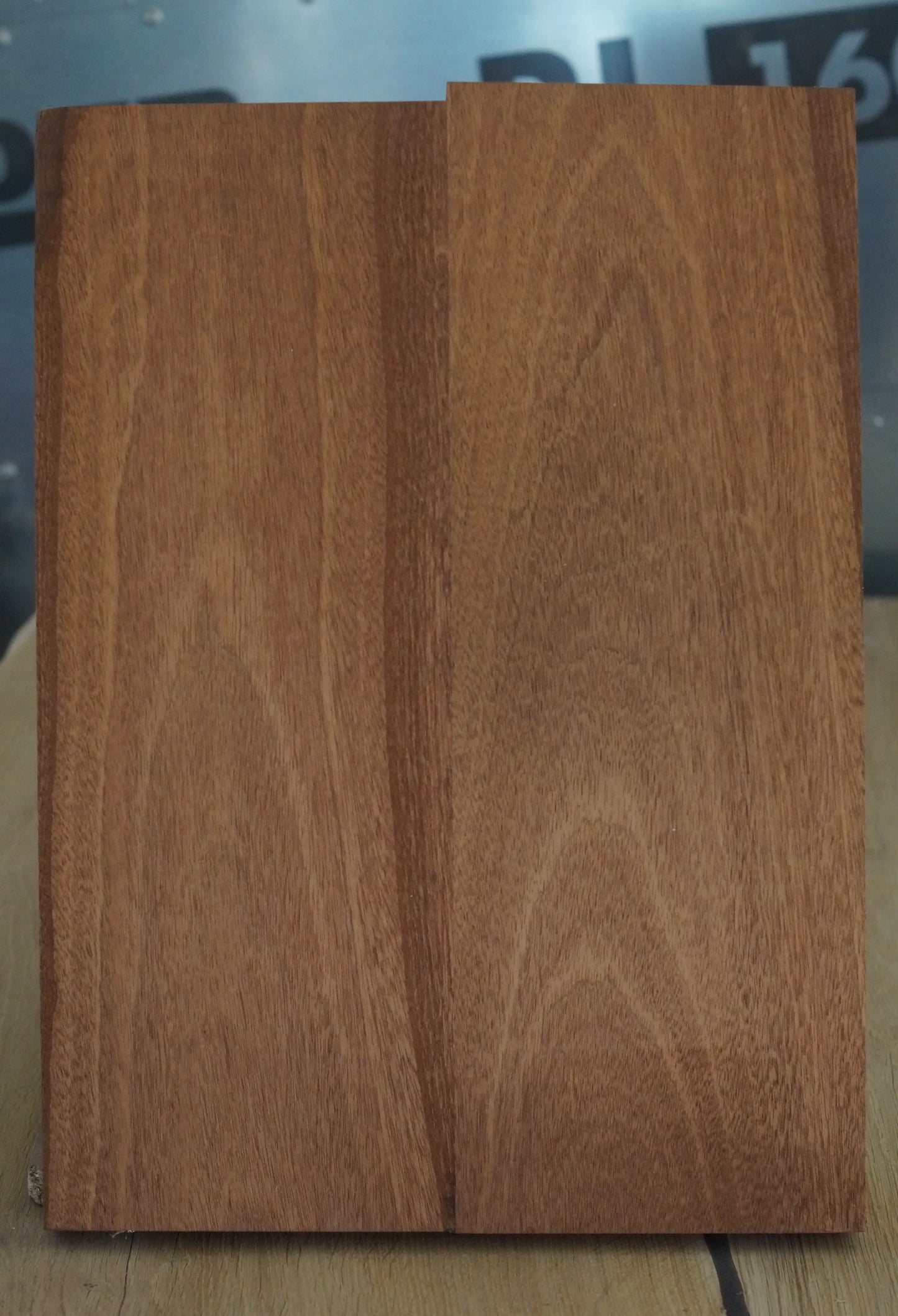 Bodyrohling Swietenia 081124-2
