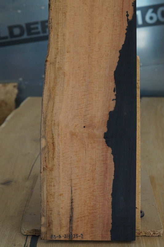 Ebenholz Bohle 210725-2