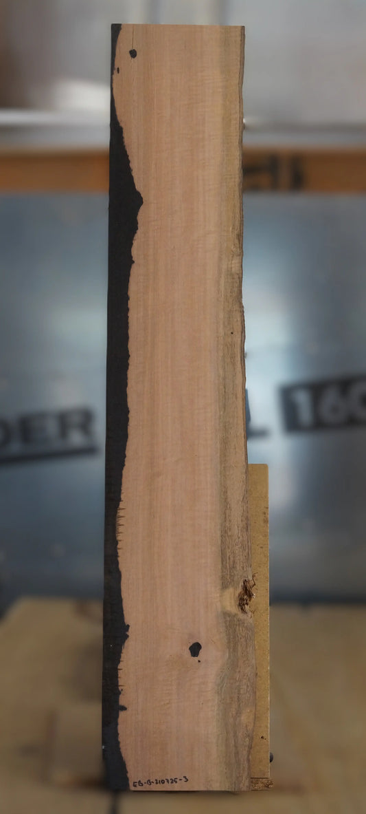 Ebenholz Bohle 210725-3