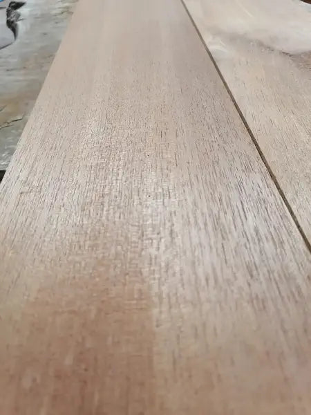 Halsrohling Cedro Set