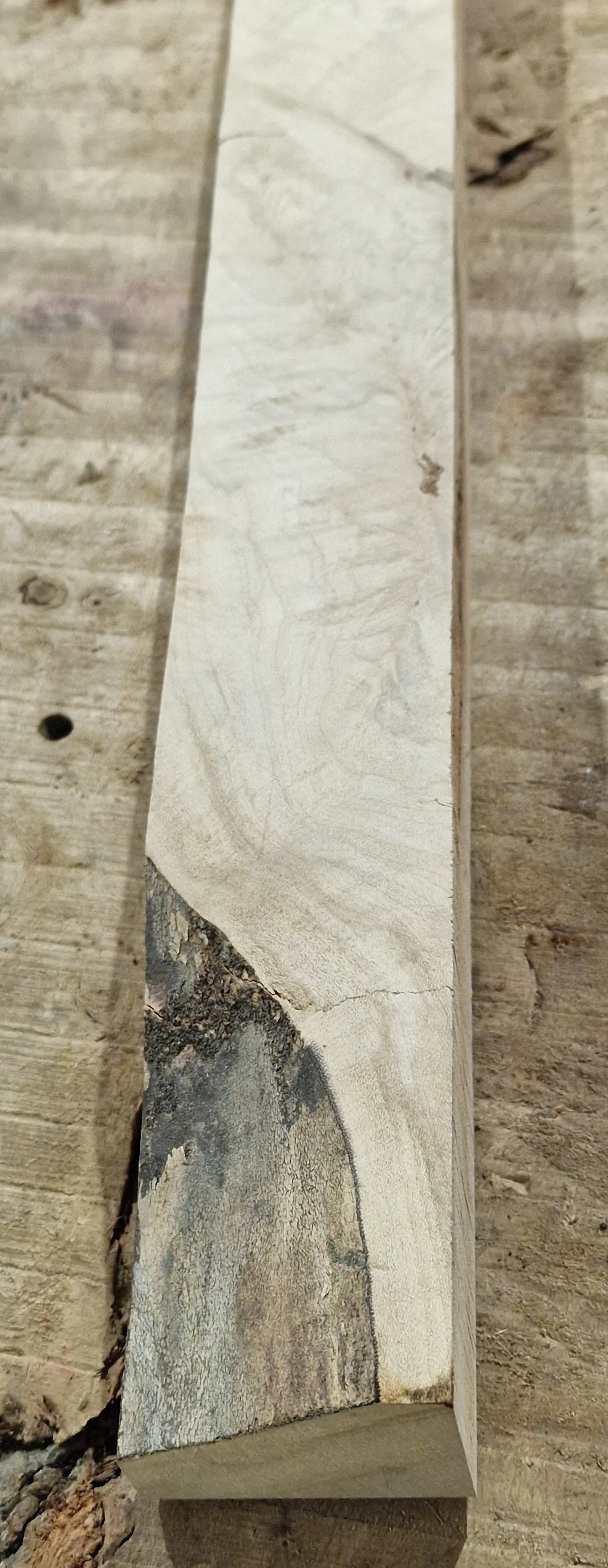 Drechselholz Ahorn 080925-2