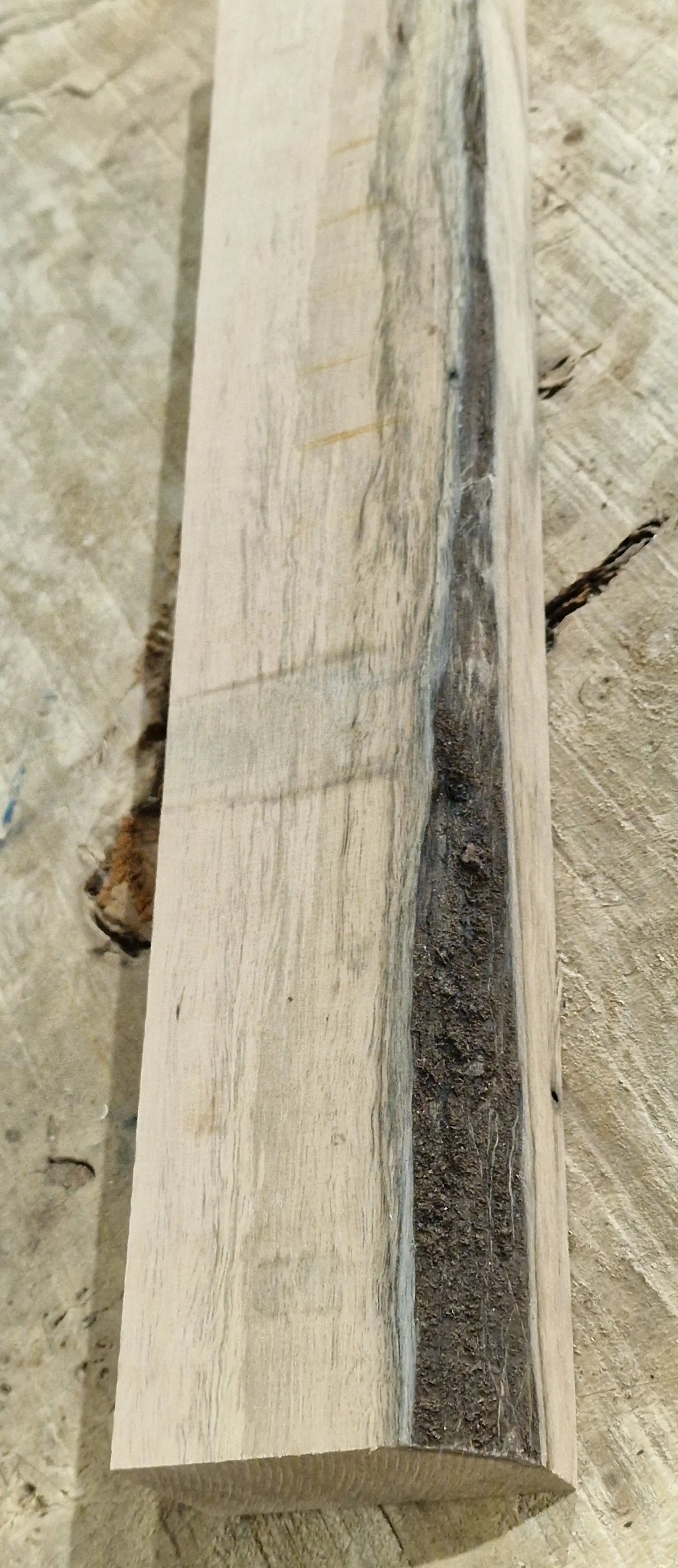 Drechselholz Ebenholz 171125-1