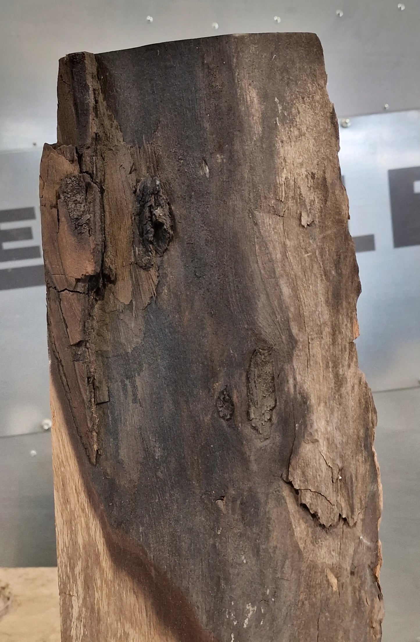 Drechselholz Nussbaum 010622
