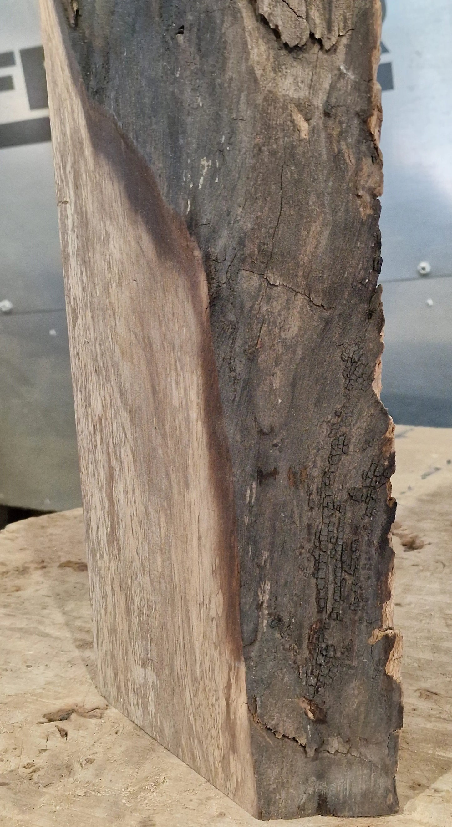 Drechselholz Nussbaum 010622