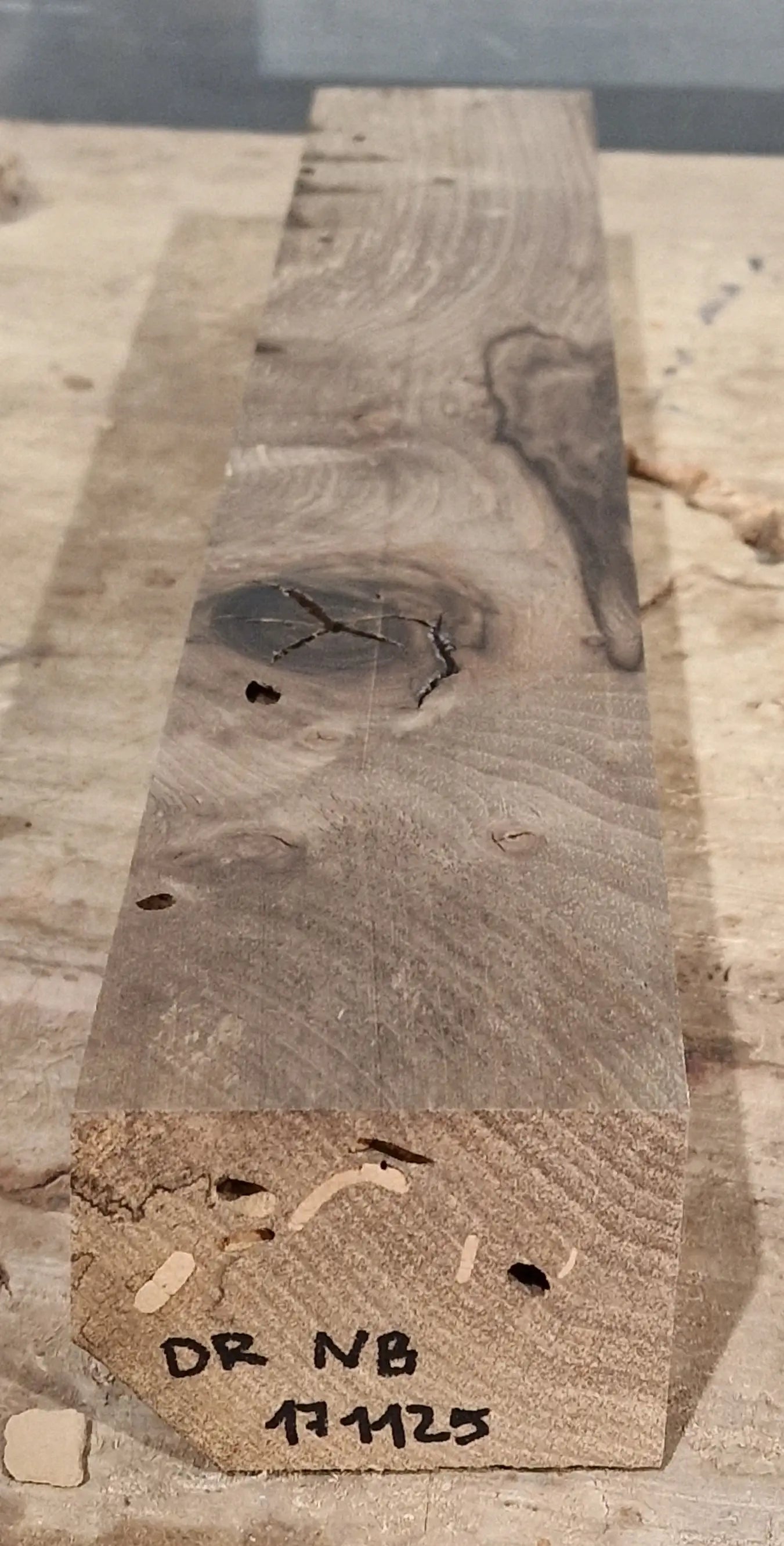 Drechselholz Nussbaum 171125